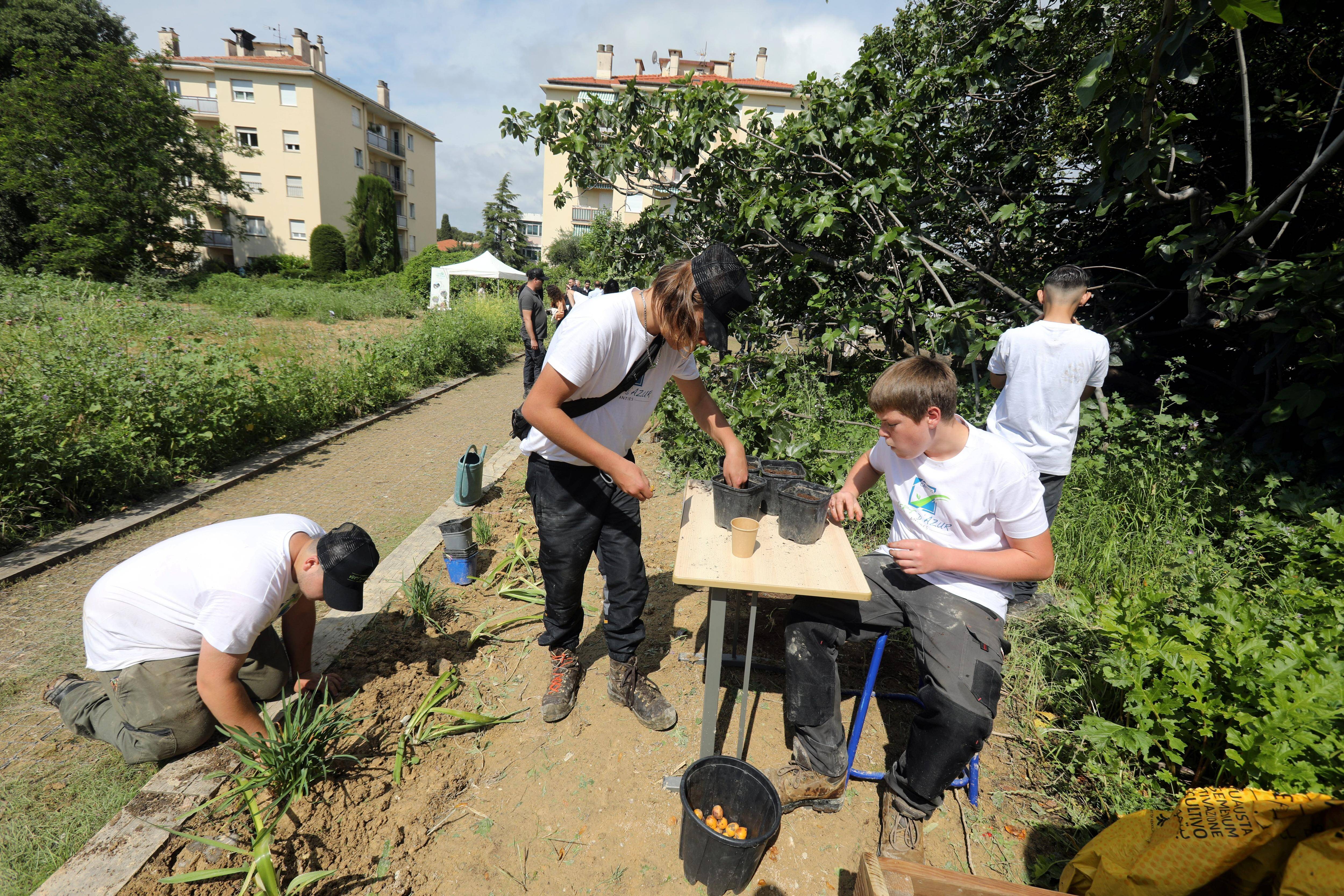 Ce que l'on sait sur le Forum mondial de l'innovation et de l'agriculture urbaine prévu début septembre à Nice