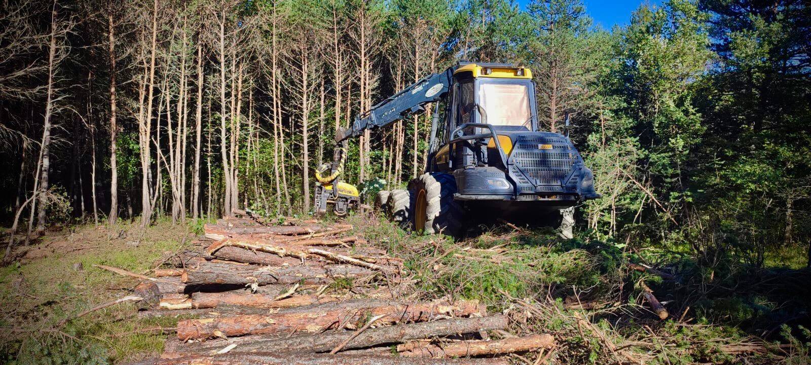 "C'était le dernier jour de défrichement": les opposants au projet de parc solaire dans ce village de l'arrière-pays de Grasse ont prévu de bloquer le chantier ce jeudi