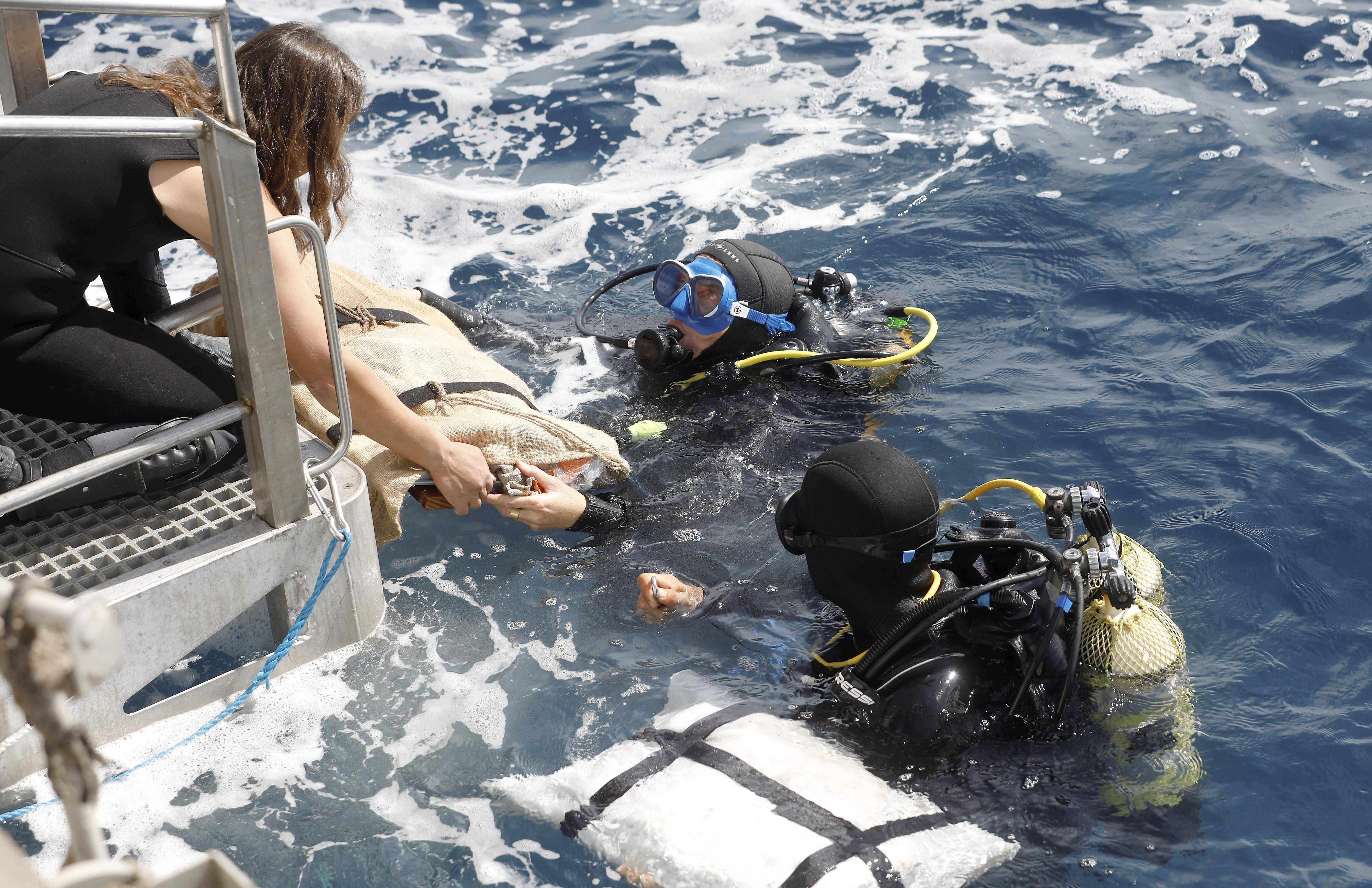 Les fouilles de l'épave du "Fort Royal 1" continuent de livrer des trésors de plus de 2000 ans au large de Cannes