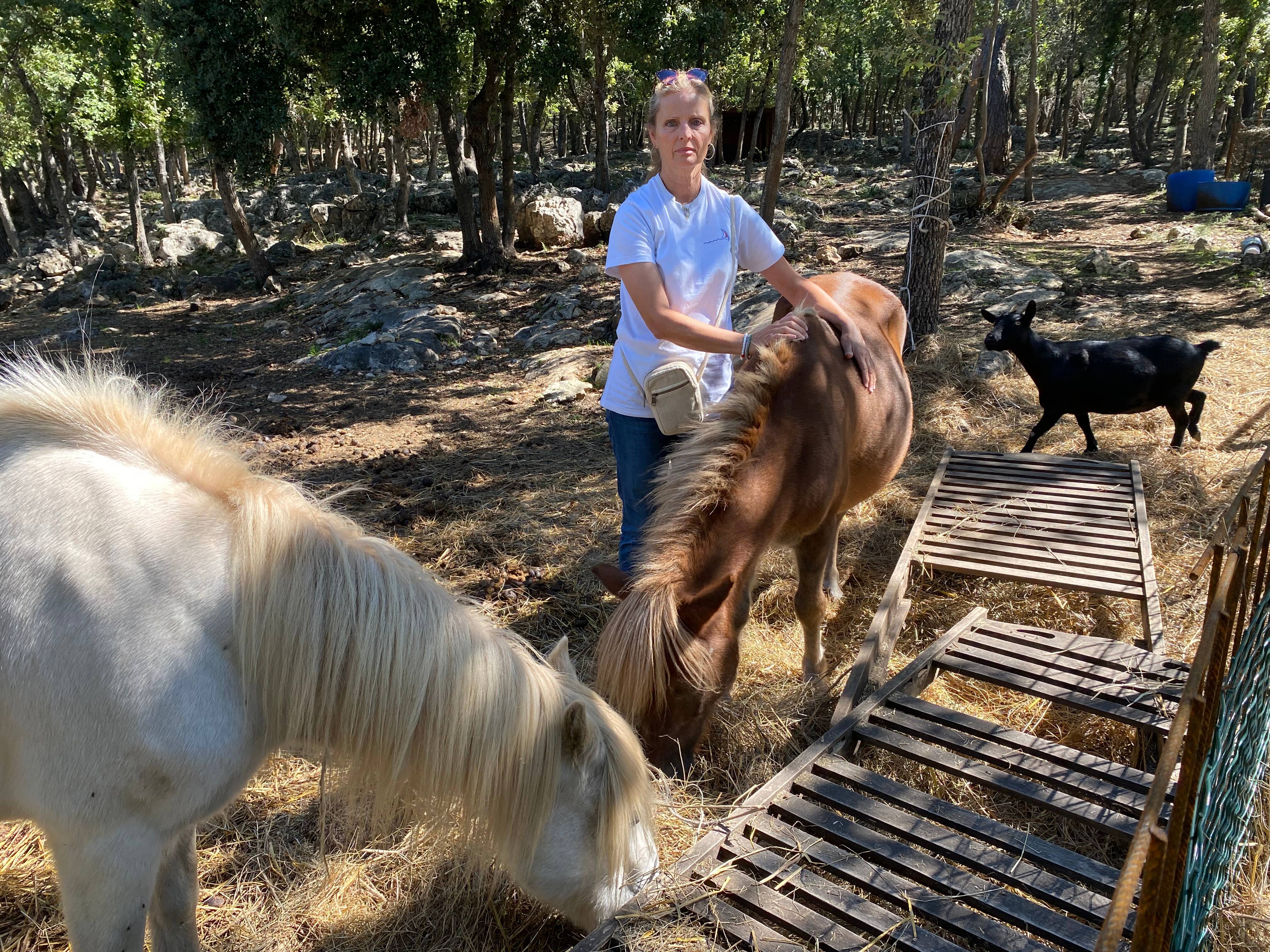 "On est en danger": le loup fait de plus en plus de dégâts dans cette commune des Alpes-Maritimes, les habitants alertent