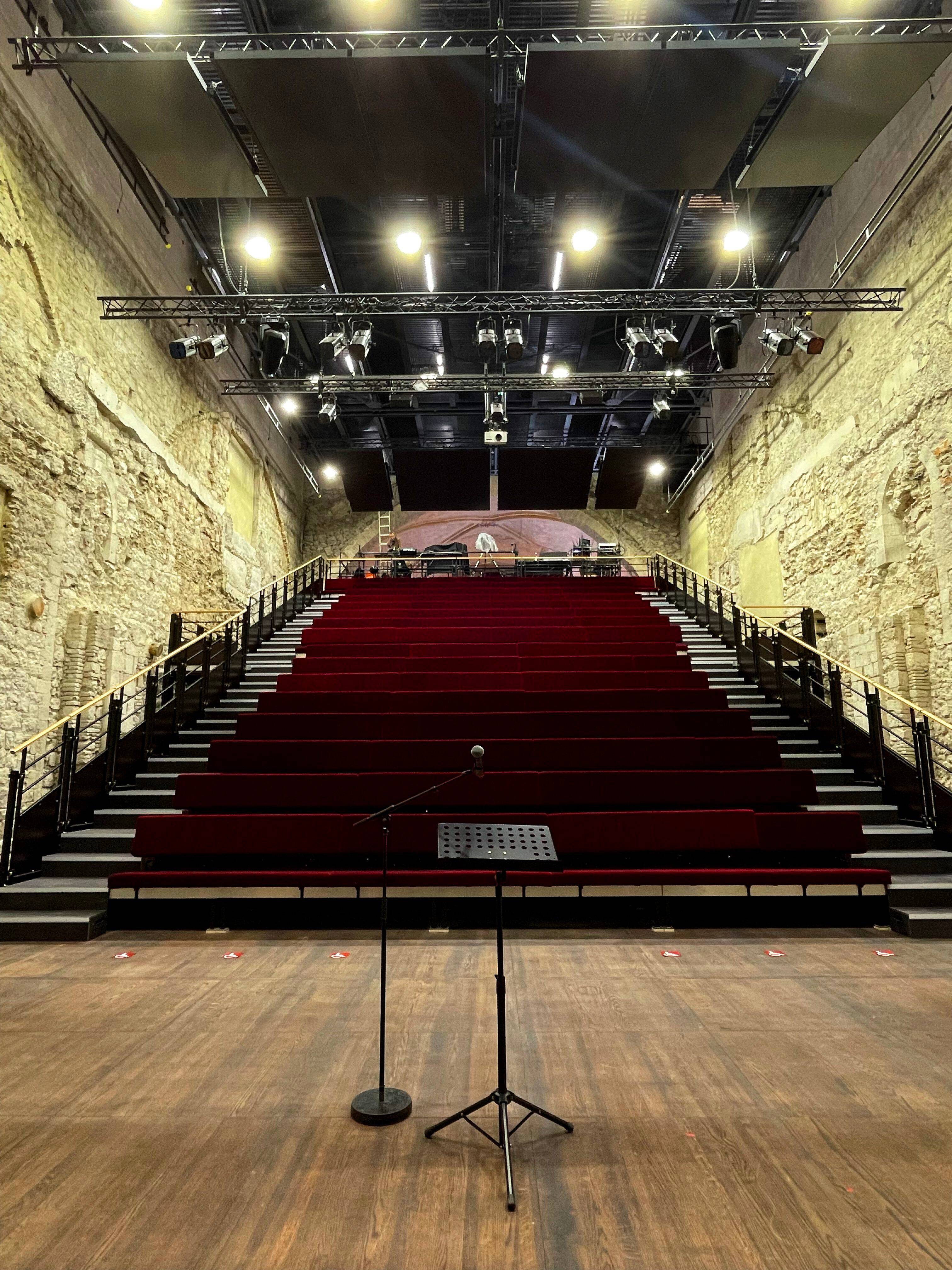Sur la scène du festival de Gad Elmaleh? Le TNN lance des auditions pour ses cours de stand-up