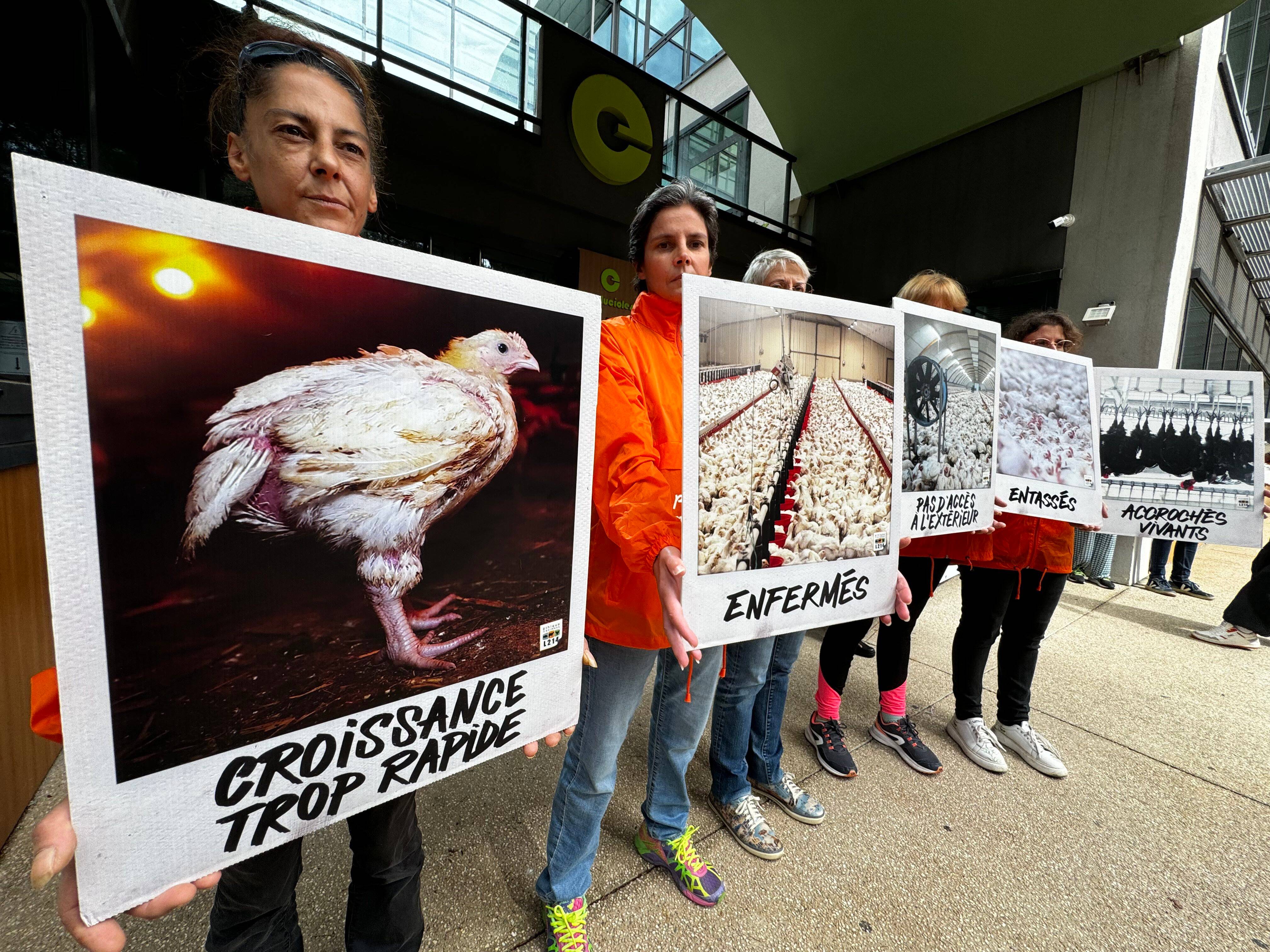 L'association L214 devant le siège du spécialiste des croquettes Hill's à Valbonne pour dénoncer les conditions de vie des poulets