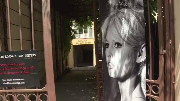 Brigitte Bardot à l'honneur sur France 3 Côte d'Azur pour célébrer ses 90 ans