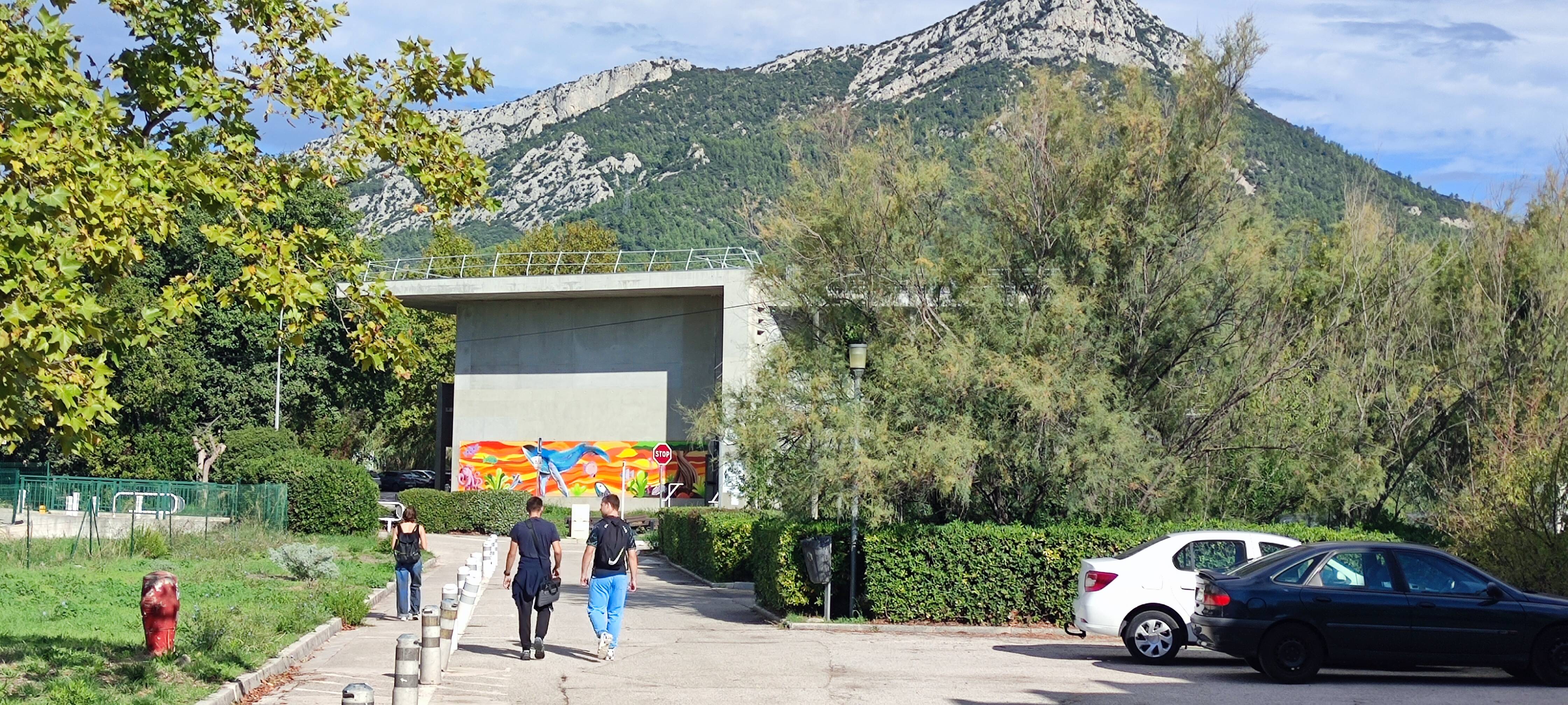 L'université de Toulon diversifie ses formations avec cinq nouveaux cursus