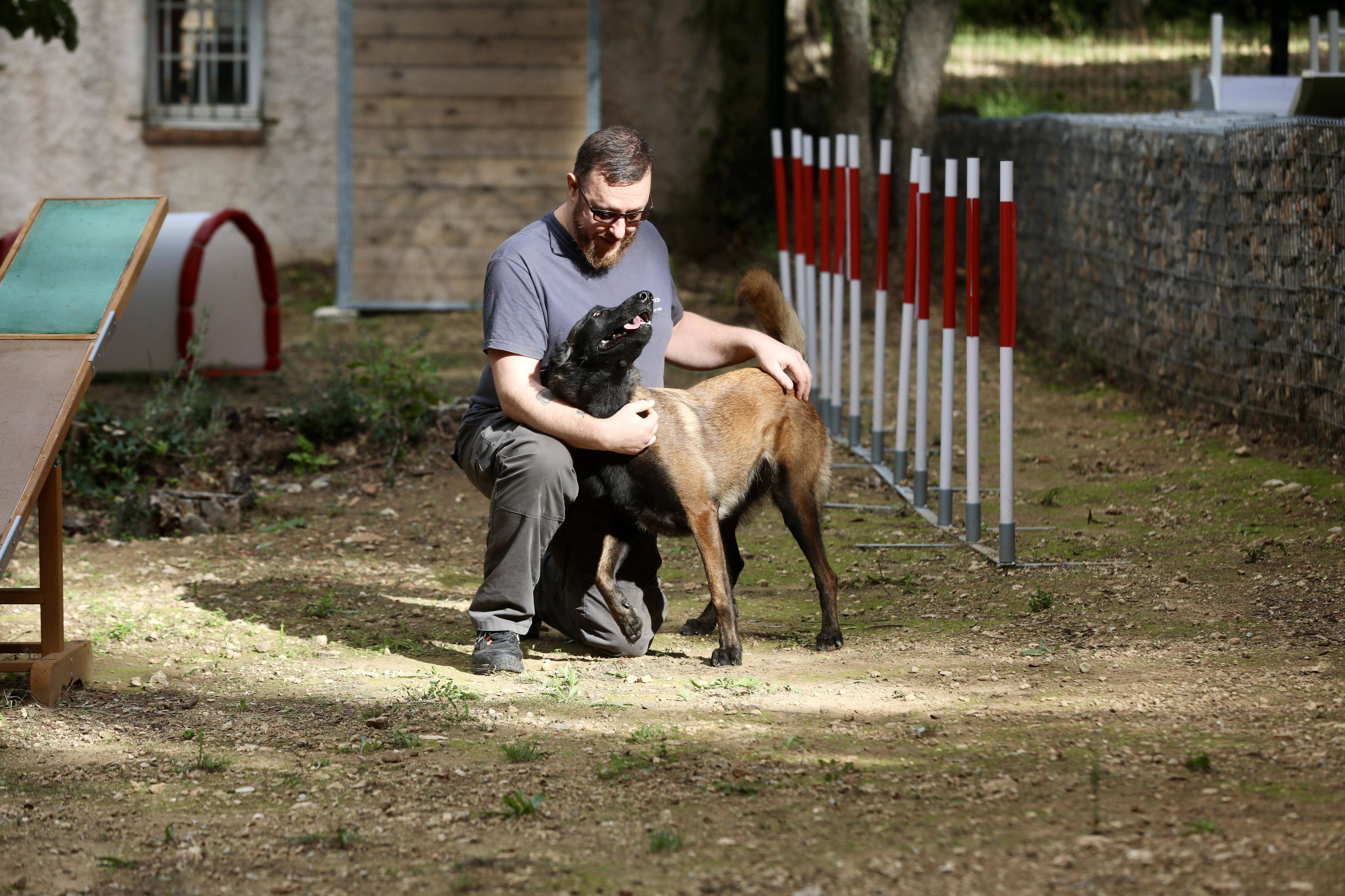 "Tout chien mérite le meilleur!"... Rencontre avec Jérôme Gairoard, éducateur "positif" pour compagnons à quatre pattes