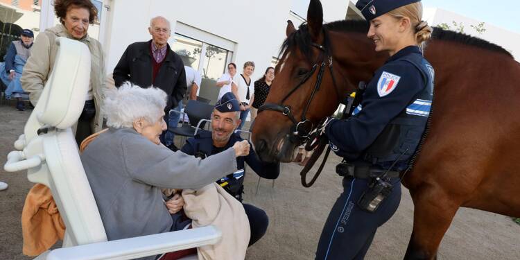 Le contact avec les animaux nous fait du bien: à Cannes, rencontre riche en émotions entre des seniors d’une maison de retraite et les chevaux de la police municipale