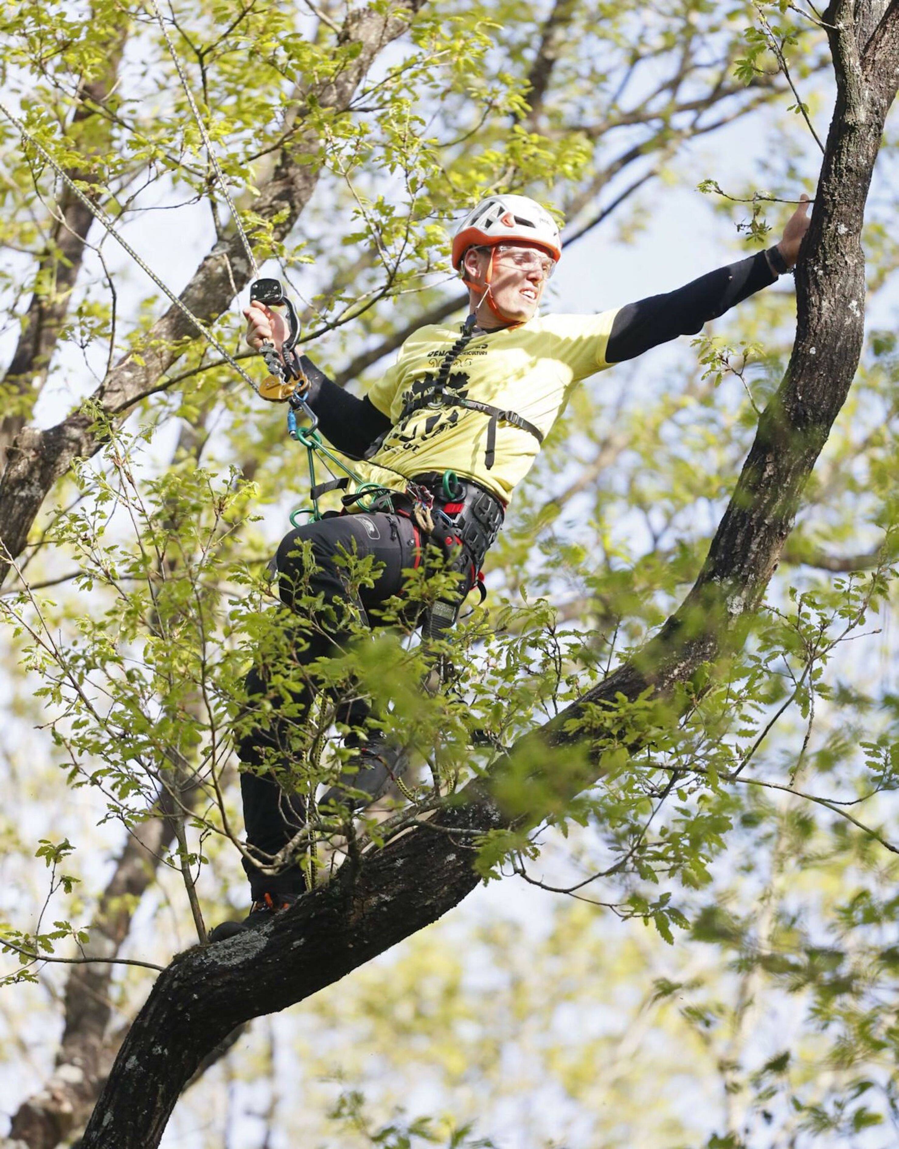 Les rencontres régionales d'arboriculture du Sud-Est ont lieu ce week-end à Gourdon