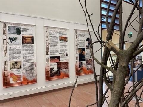 Dinosaures, hommes des cavernes... A Carros, une expo qui désosse les idées reçues sur la Préhistoire