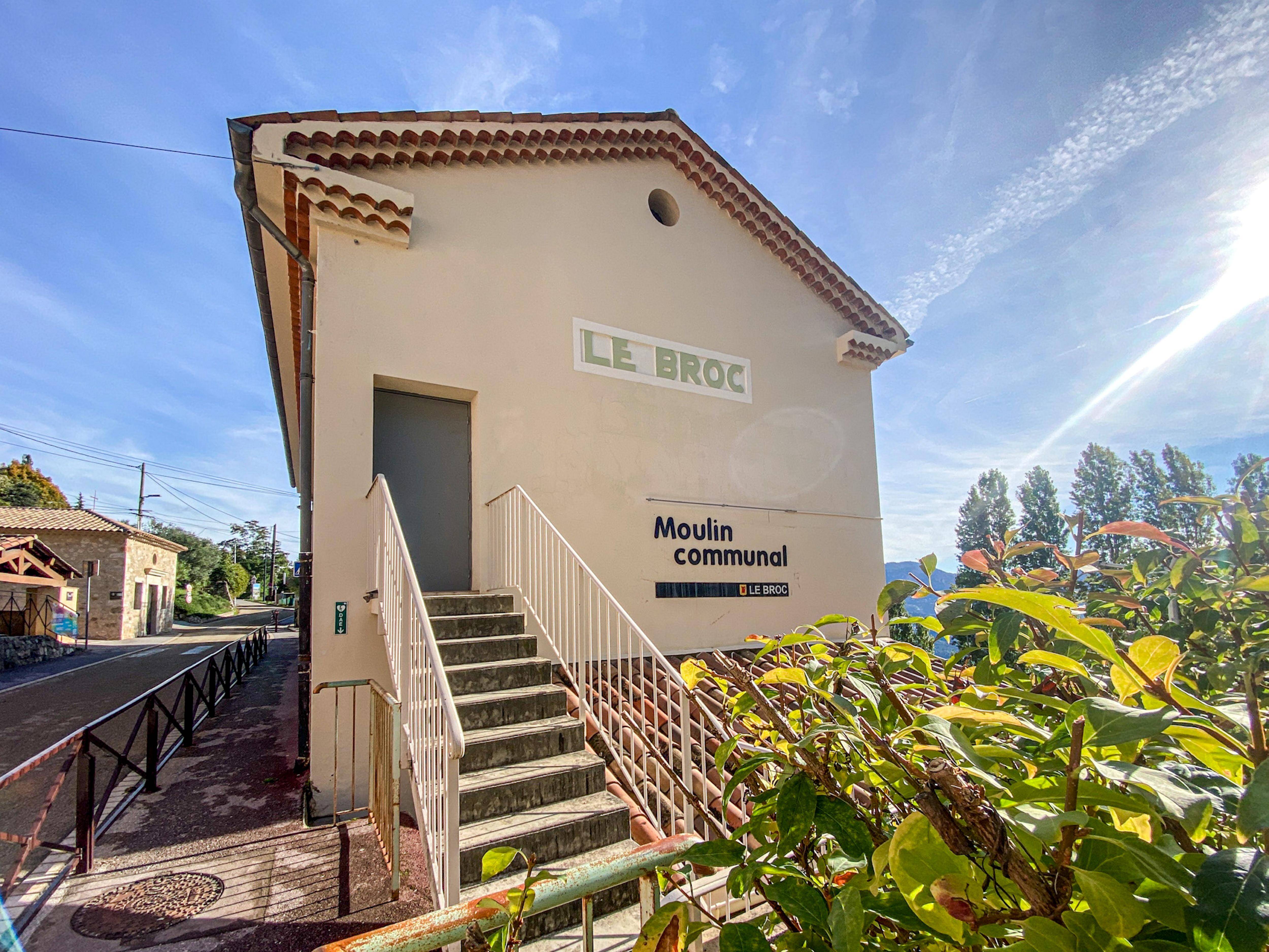 Vous avez des oliviers dans votre jardin? Allez faire votre propre huile au moulin du Broc