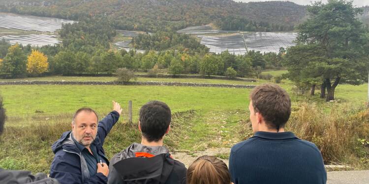 C’est ce qu’on craignait...: sur les traces des parcs solaires qui grignotent la forêt dans le haut pays grassois