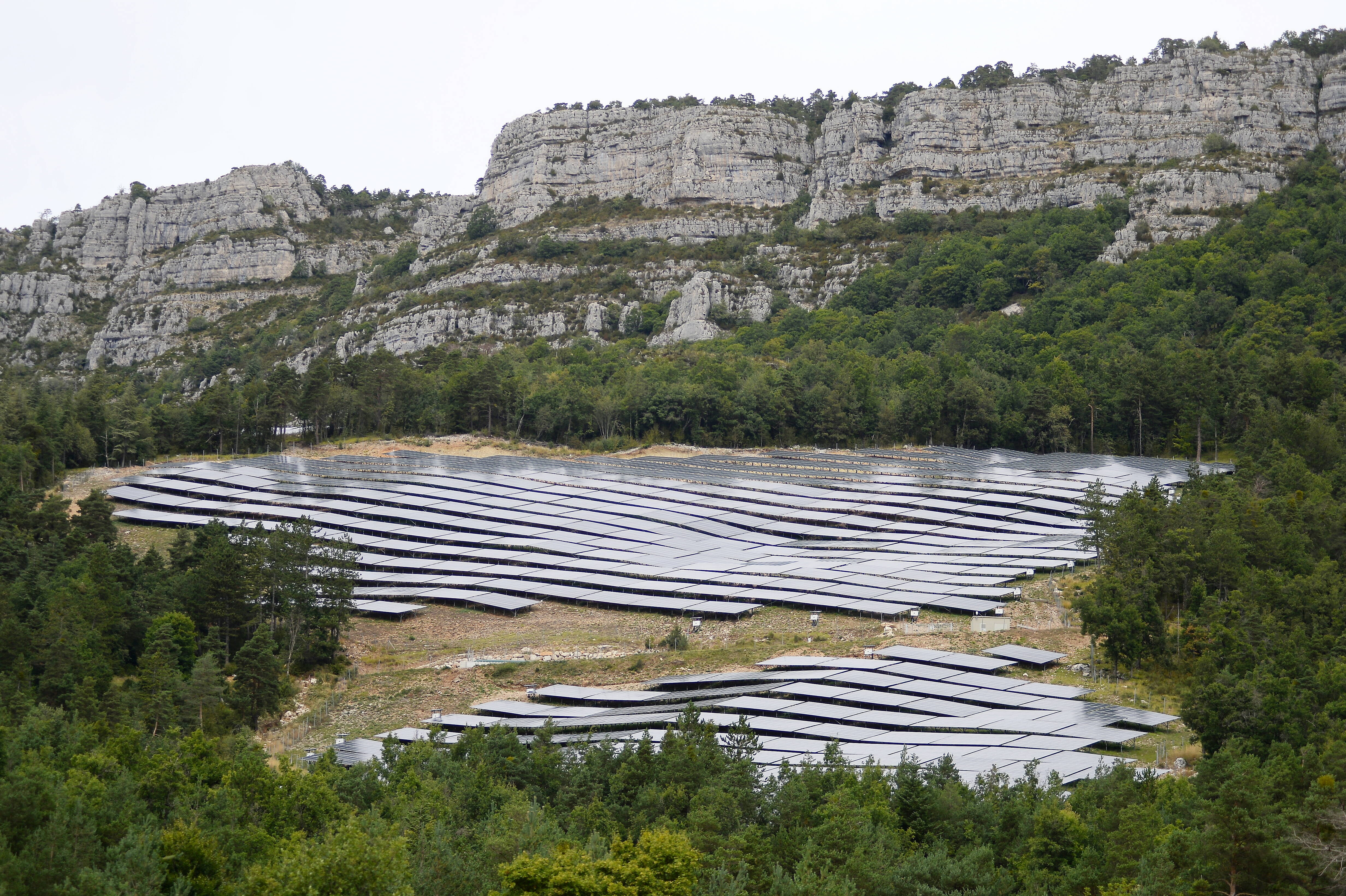 "Des centrales se développent n'importe comment, sans réflexion globale": alerte aux parcs solaires qui grignotent nos forêts