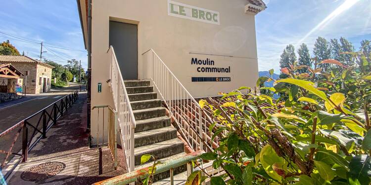 Vous avez des oliviers dans votre jardin? Allez faire votre propre huile au moulin du Broc