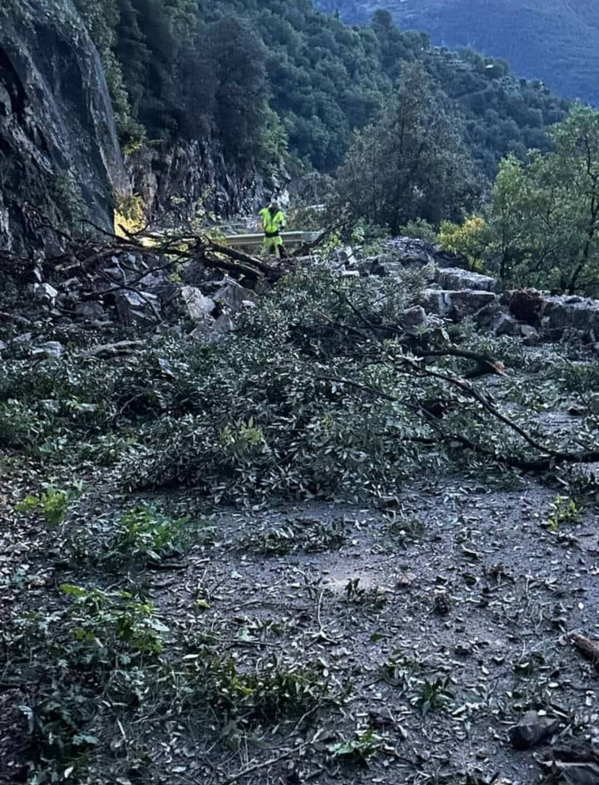 Déjà coupée à la circulation, cette route de l'arrière-pays niçois ne pourra pas rouvrir en raison d'un nouvel éboulement