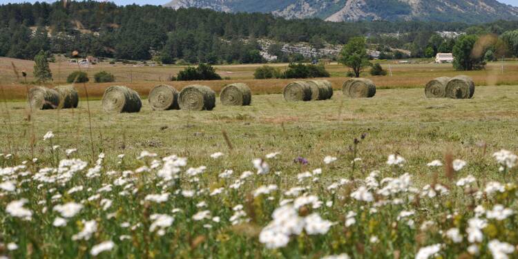 Une cueilleuse de champignons retrouvée ce vendredi au plateau de Caussols après avoir passé une nuit dehors