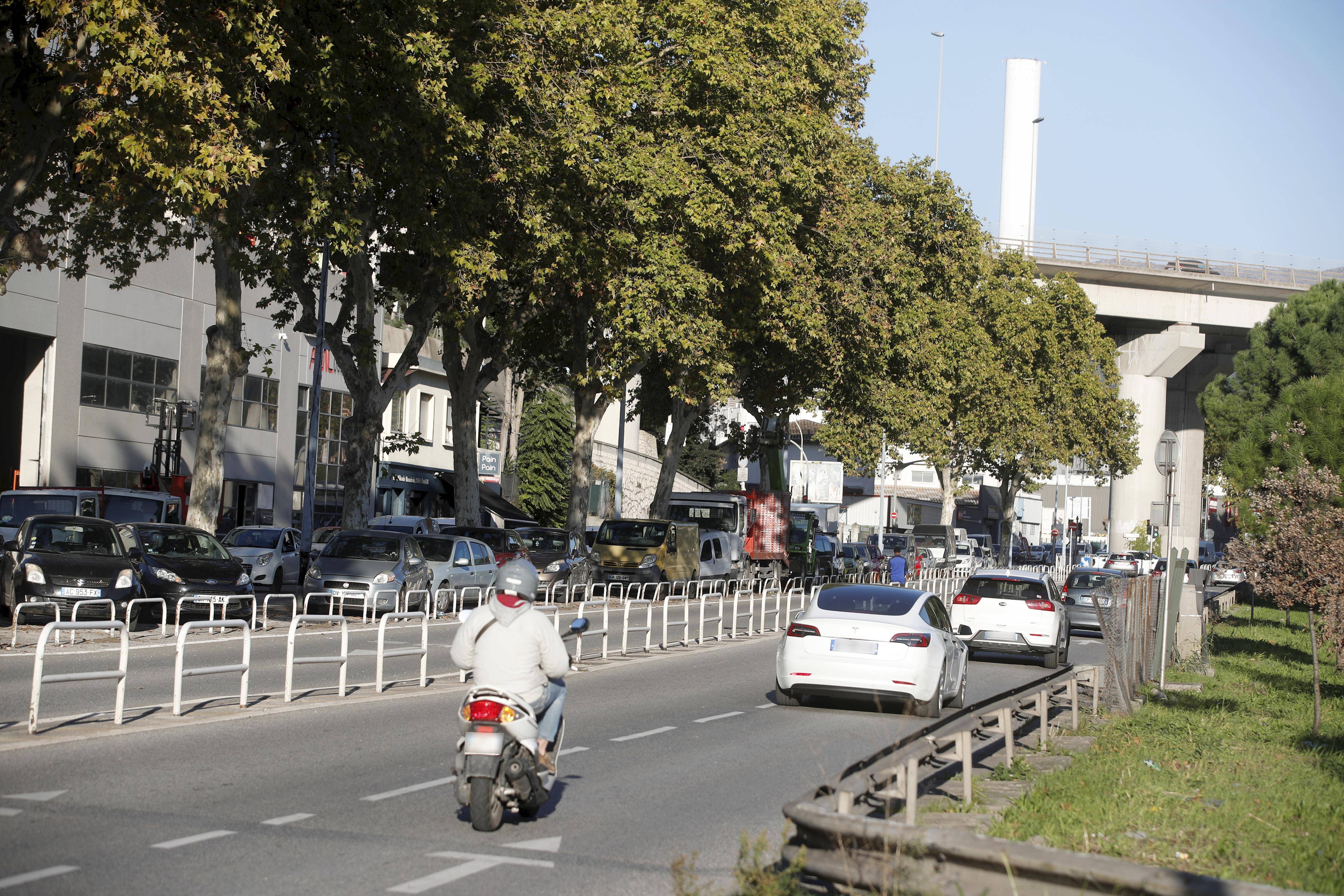 Les arbres du boulevard de L'Ariane bientôt abattus à Nice