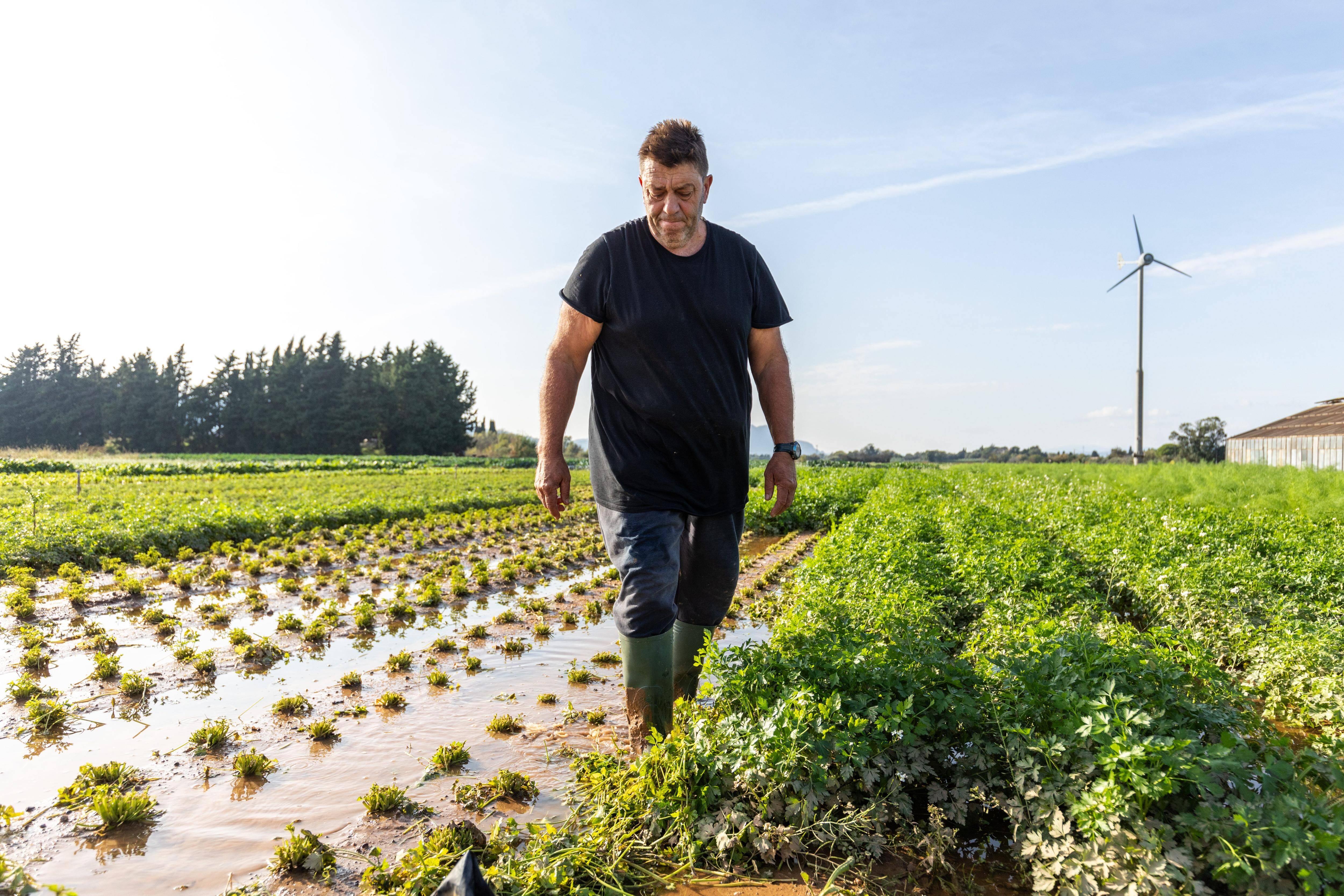 Épisode méditerranéen: "On a tout perdu", la coupe est pleine pour les agriculteurs de l'Est-Var