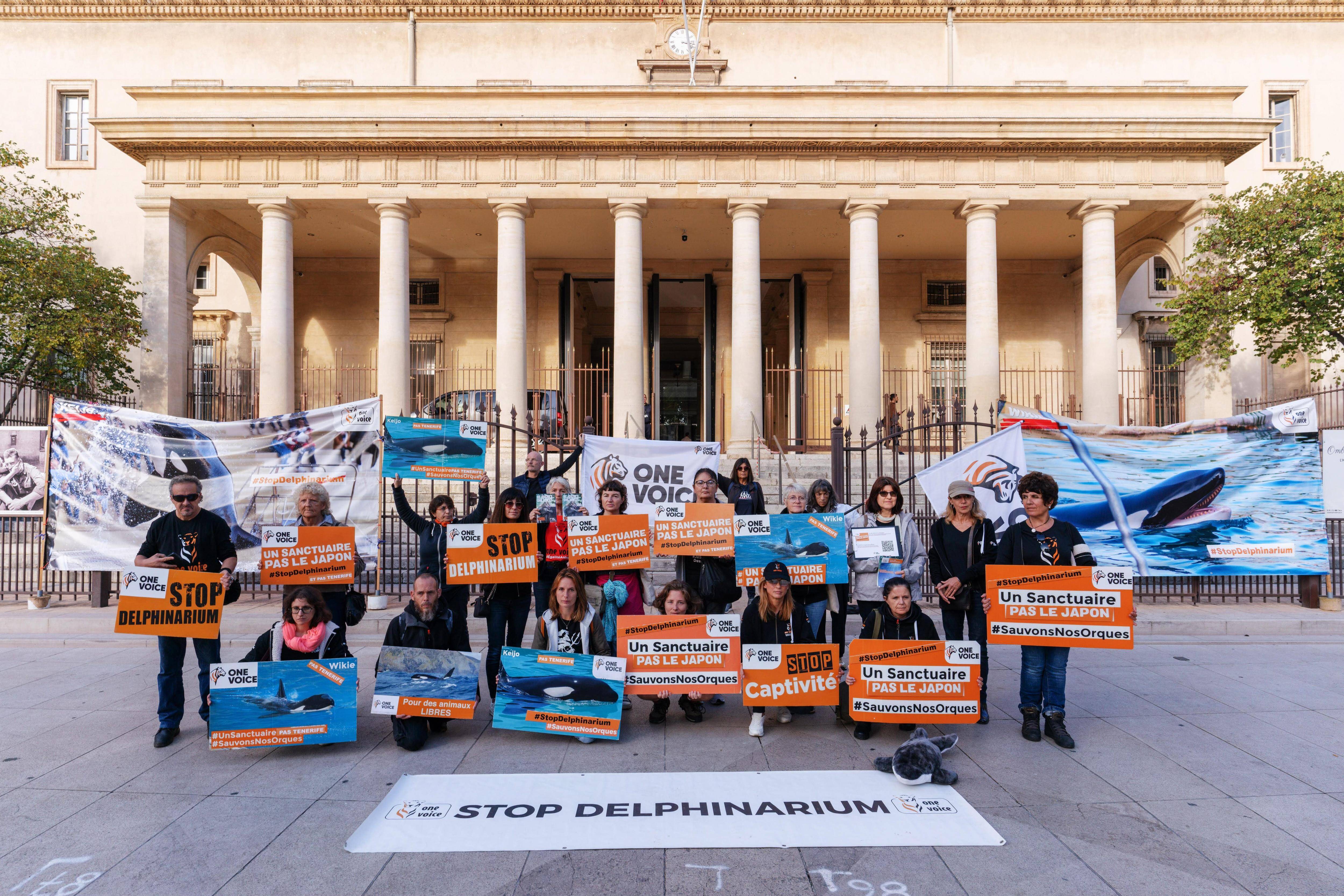 Transfert des orques de Marineland: One Voice et le parc d'Antibes s'affrontent devant la justice