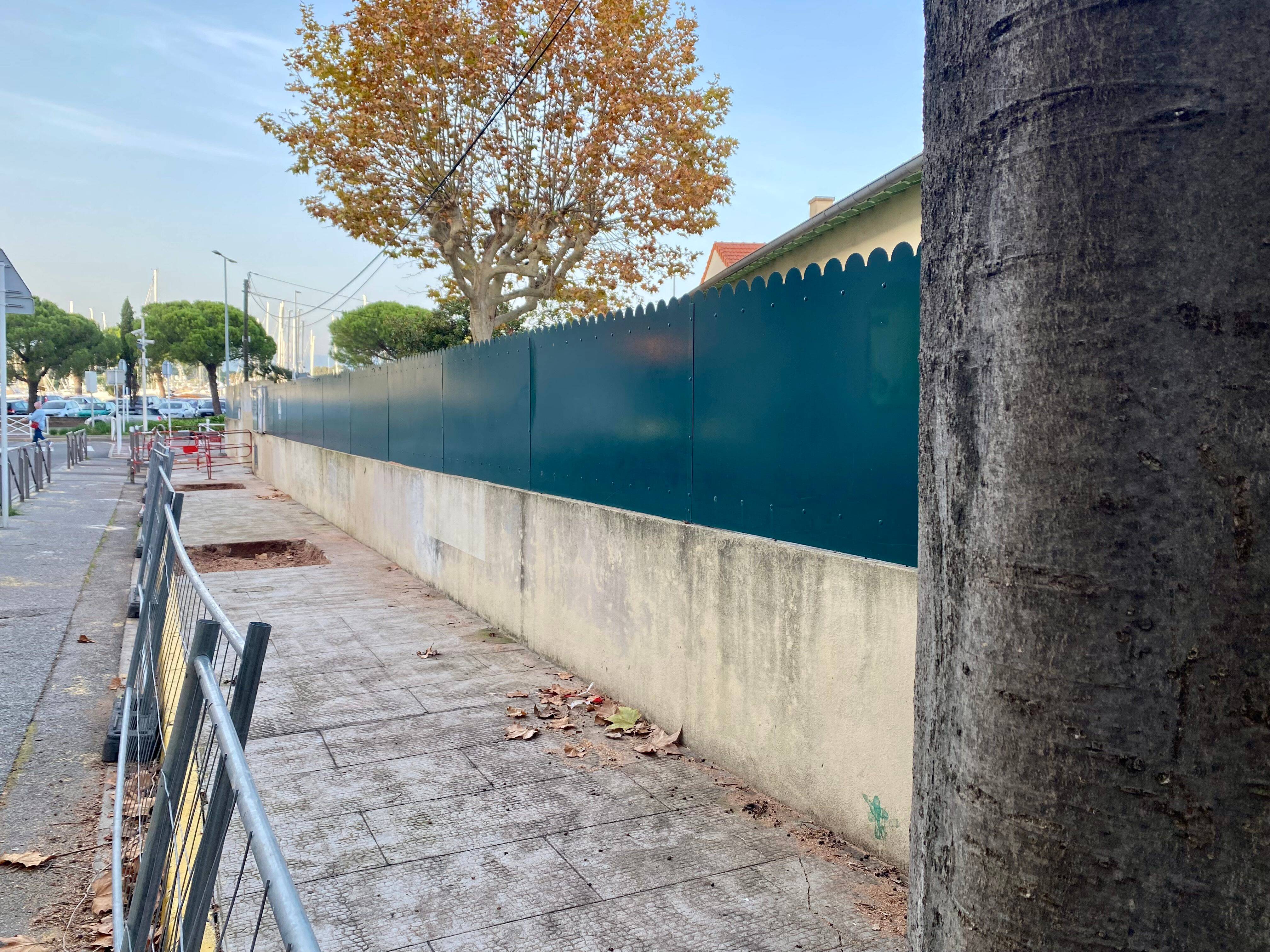 Abattage de platanes centenaires à Antibes: on vous explique pourquoi tous les arbres n'ont pas été coupés