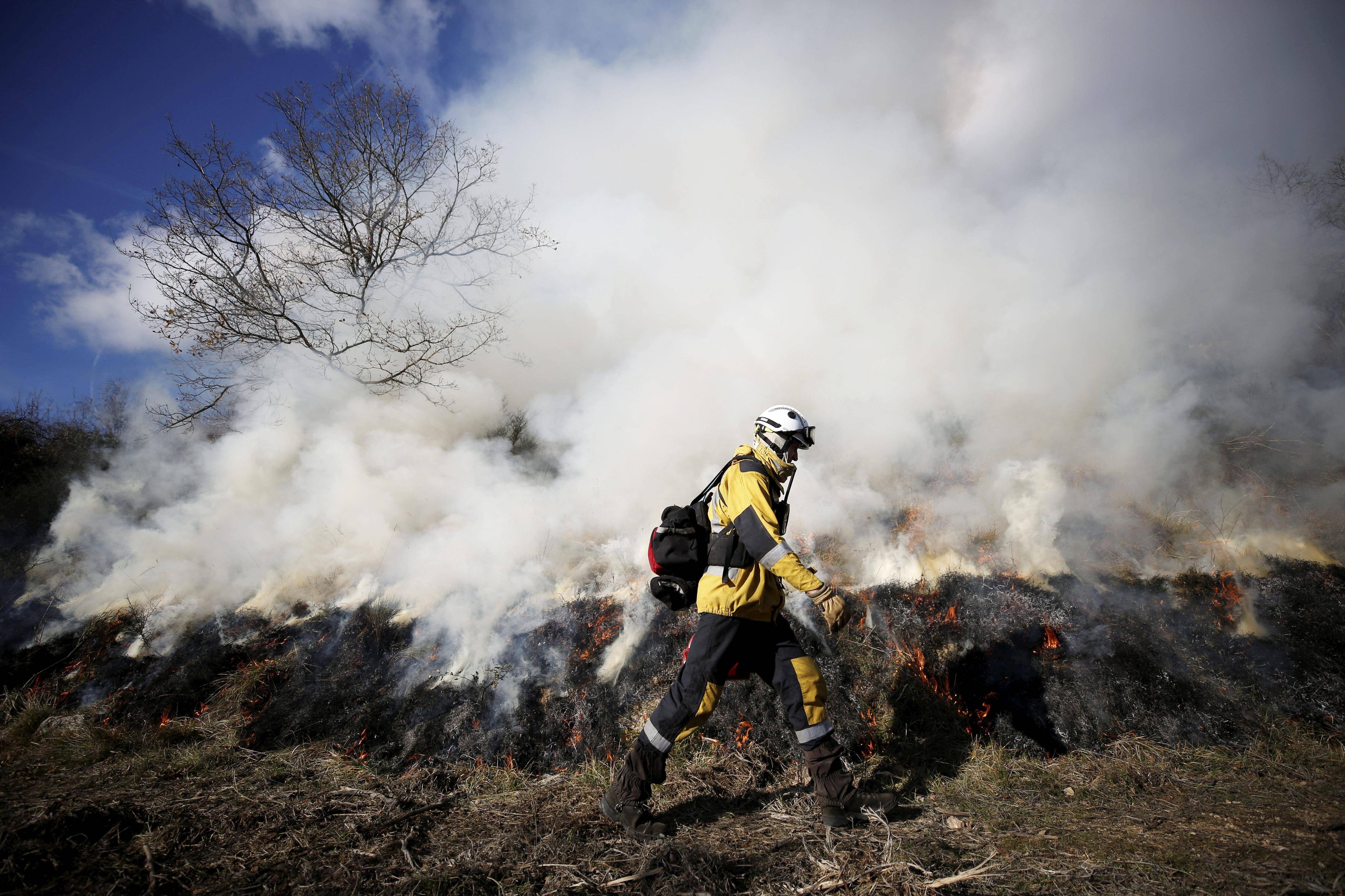 "Tous les outils de prévention doivent être explorés": comment des petits feux d'hiver peuvent permettre d'éviter des grands feux d'été