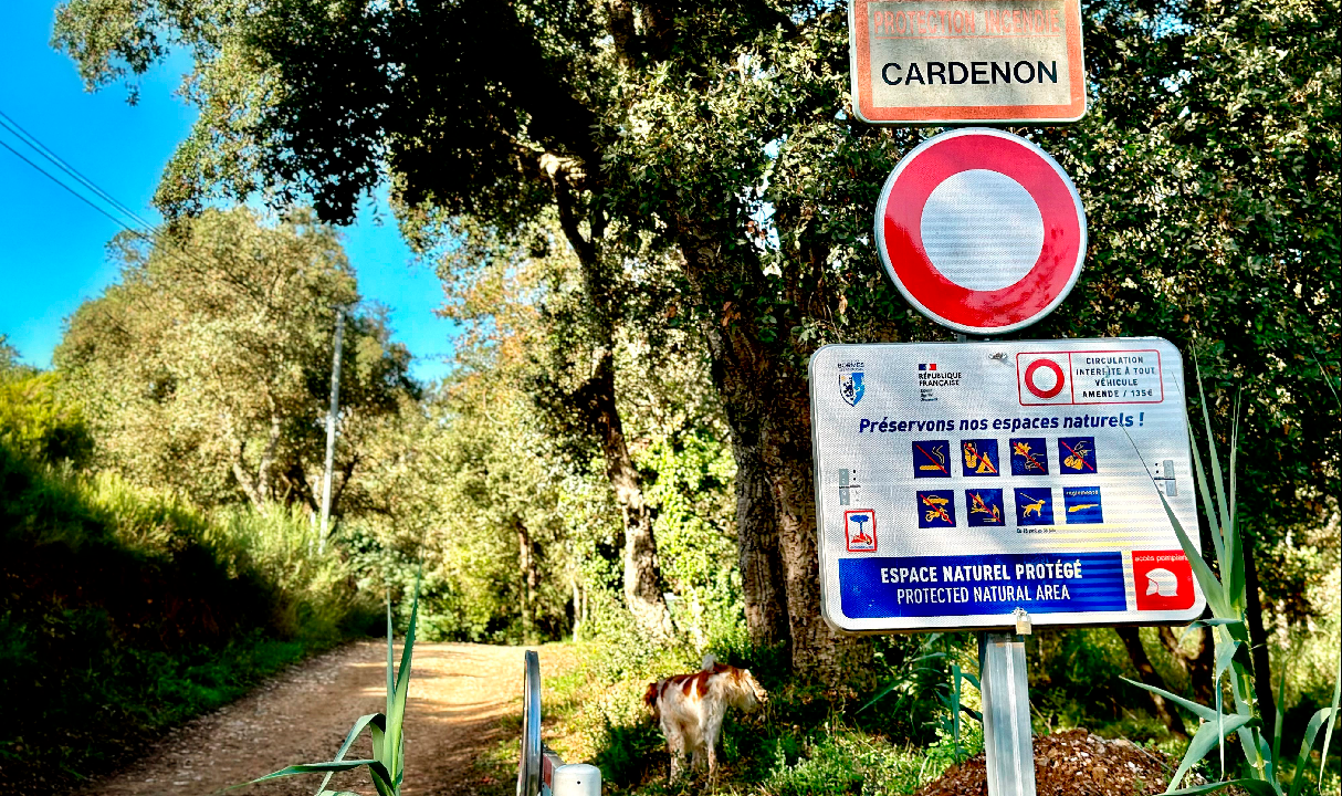Jeune père de famille, cueillette aux champignons entre amis... On en sait plus sur l'accident de chasse à Bormes