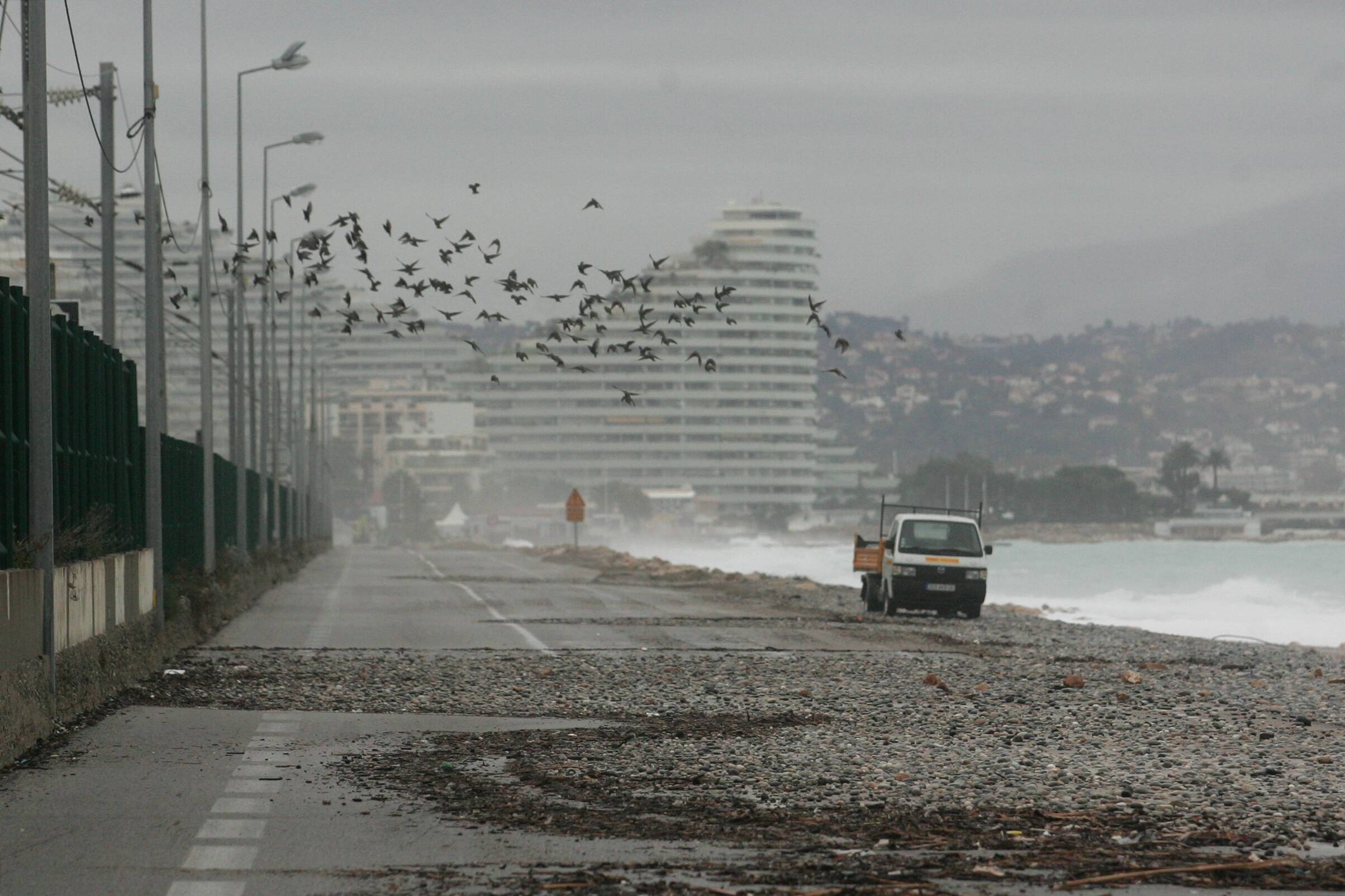 Après l'échec des bambous au large de Villeneuve-Loubet, les arbres peuvent-ils sauver les plages de l'érosion et la route des coups de mer?