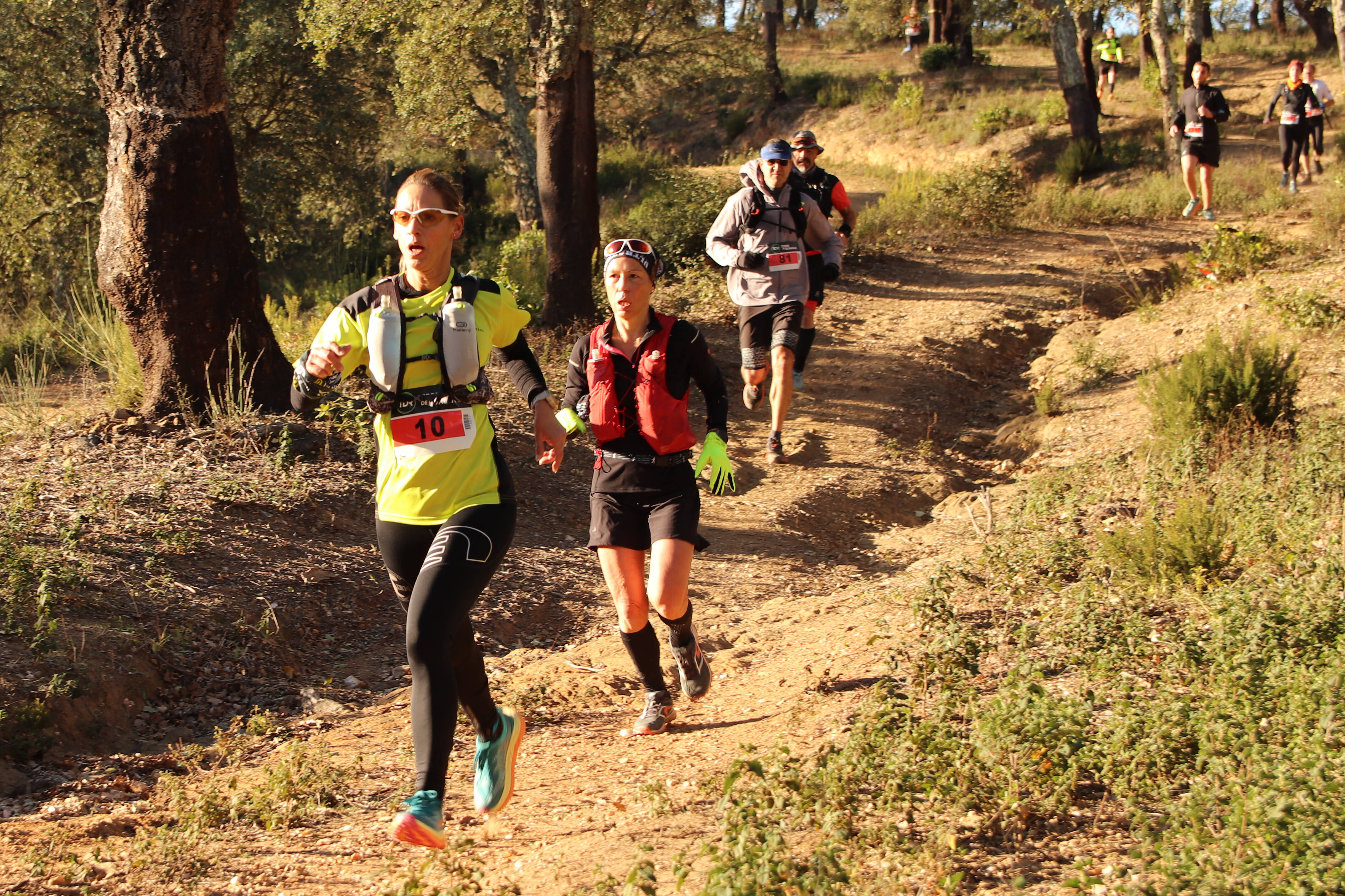Course caritative dans le massif des Maures, la seconde édition du Trail l'Arcoise sera organisée ce dimanche