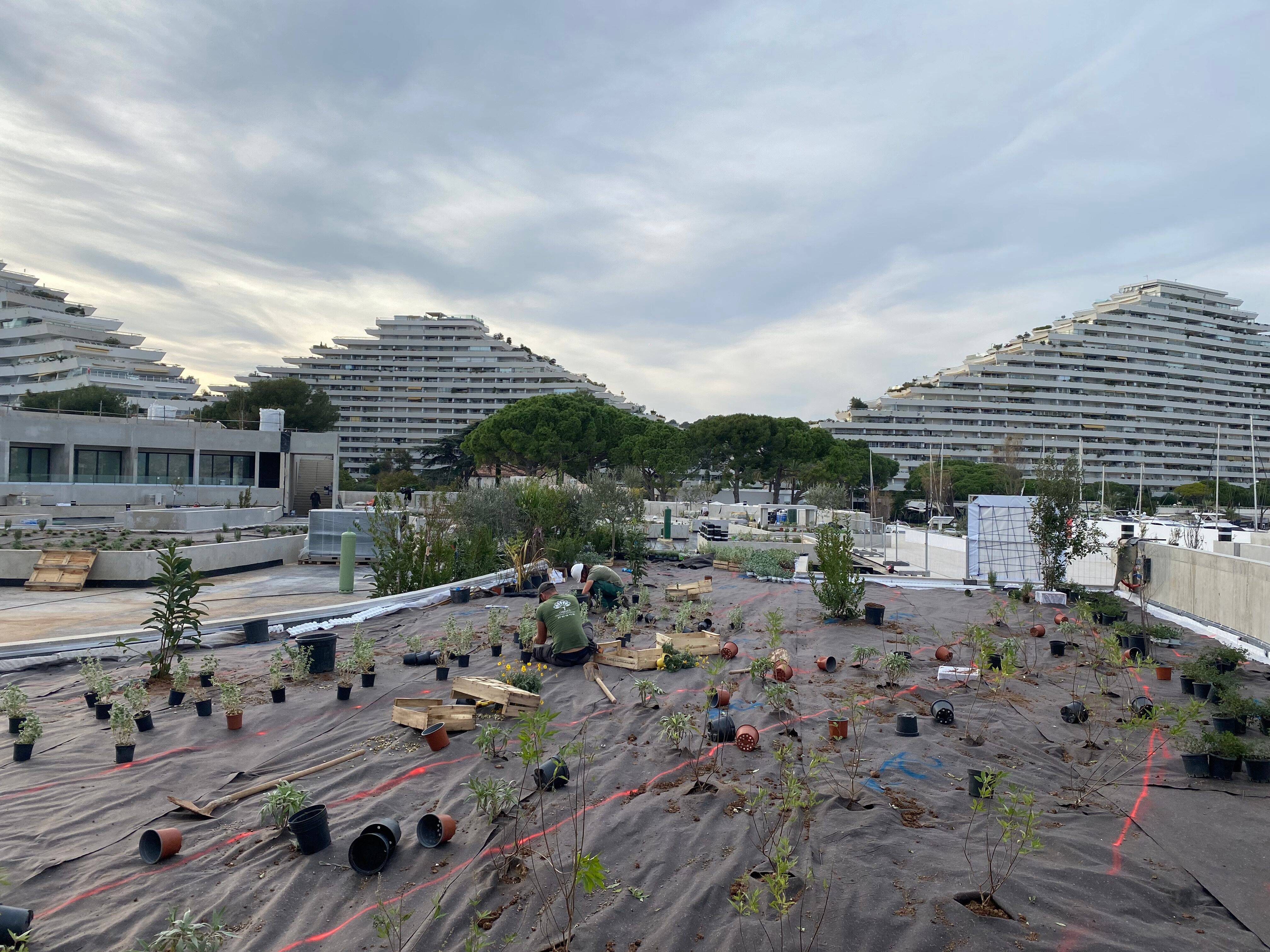 Les jardins du toit terrasse de CSur Marina, au port de Villeneuve-Loubet ont été inaugurés... mais ils sont encore fermés