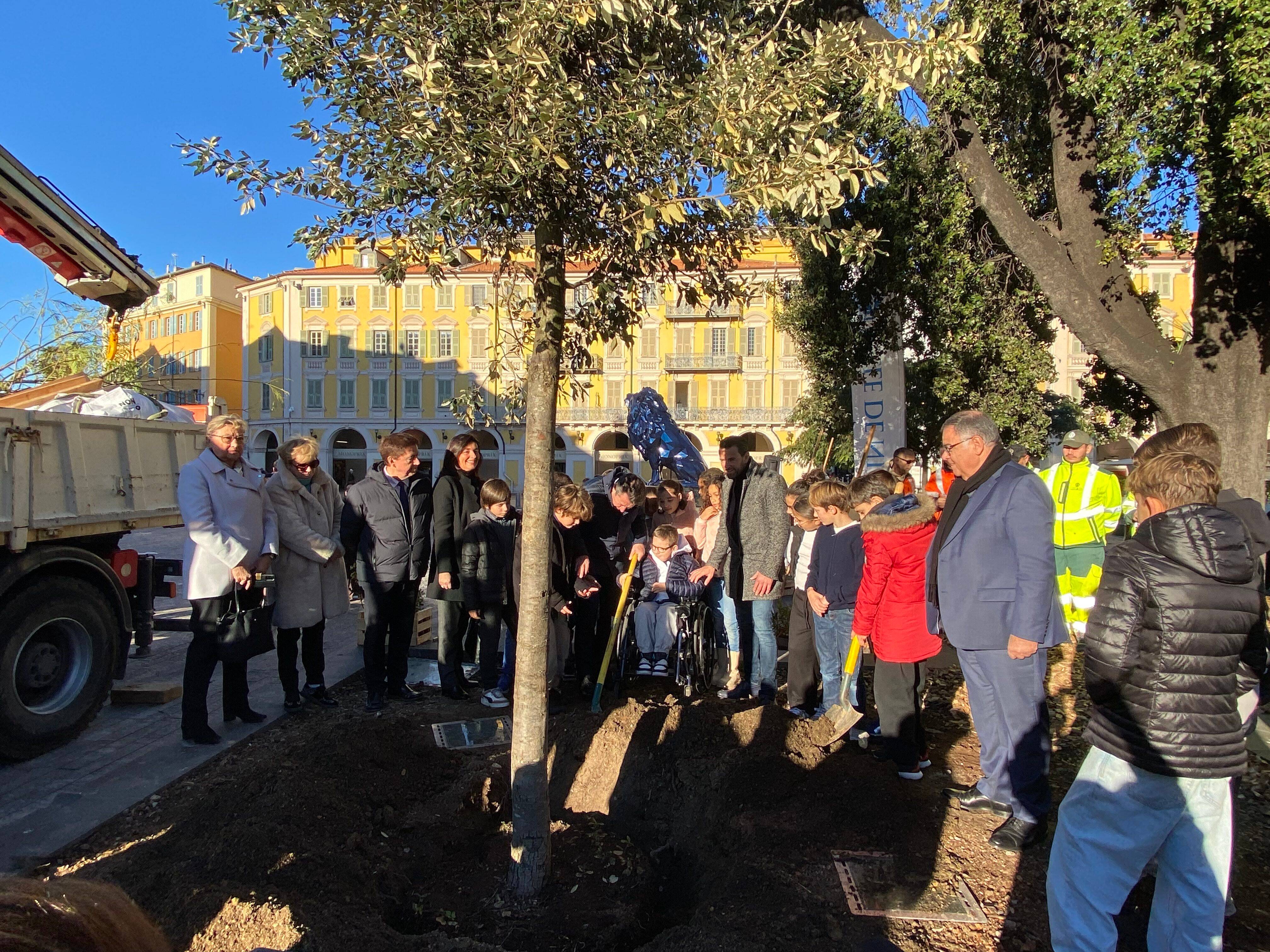 Il remplace celui enlevé l'été dernier: la Ville de Nice plante un chêne sur la place Garibaldi, une élue d'opposition grince des dents