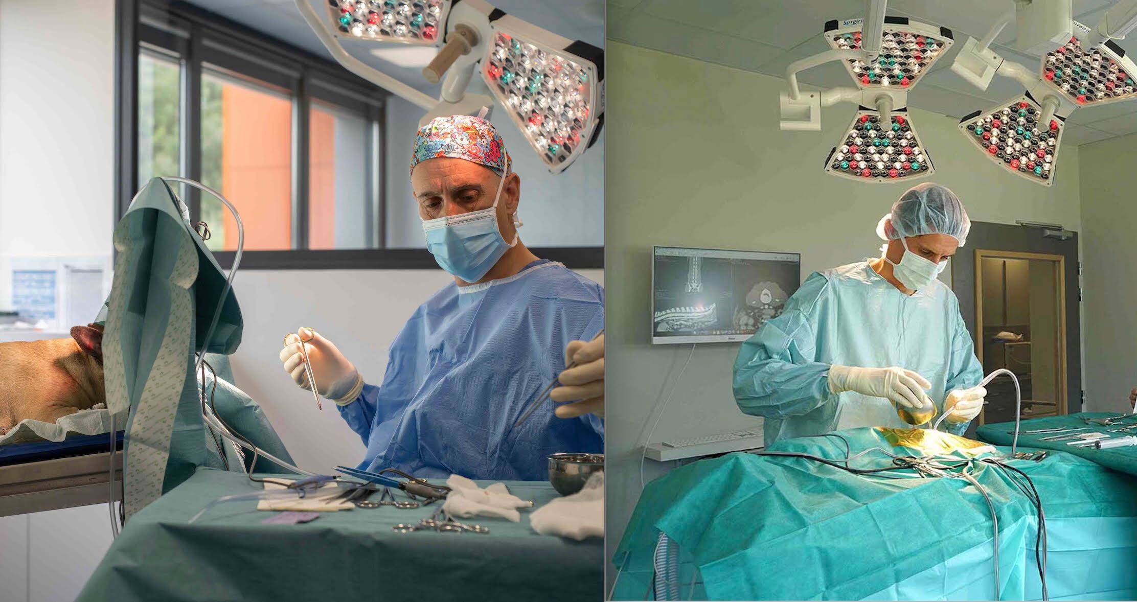 Une clinique dédiée à la chirurgie animale de pointe à Saint-Laurent-du-Var