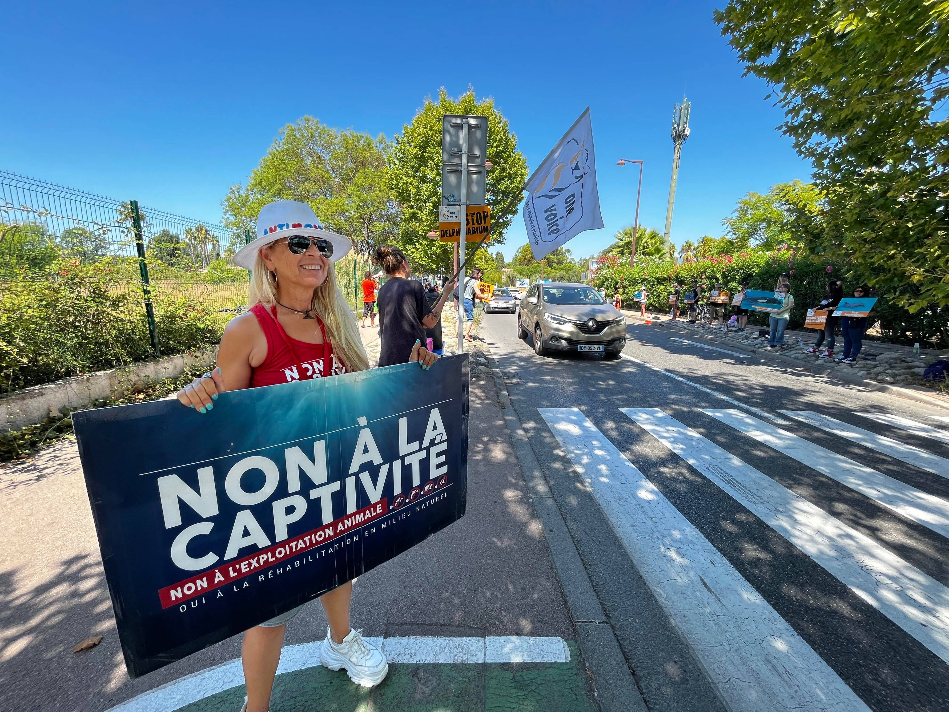 Que vont devenir les orques de Marineland à Antibes? Les associations plébiscitent le sanctuaire, mais...