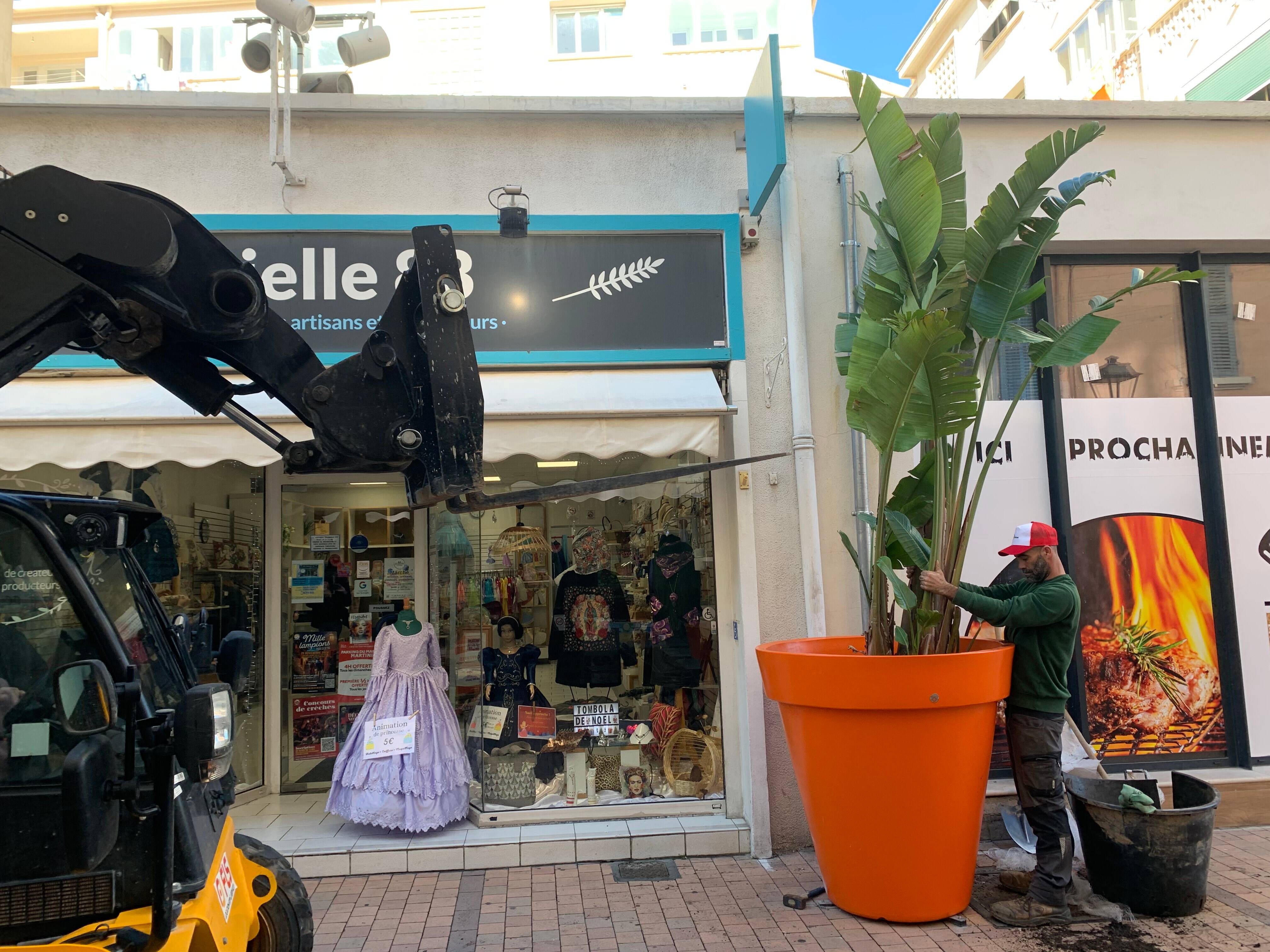 Mais que font ces immenses pots de fleurs dans le centre-ville de La Seyne ?