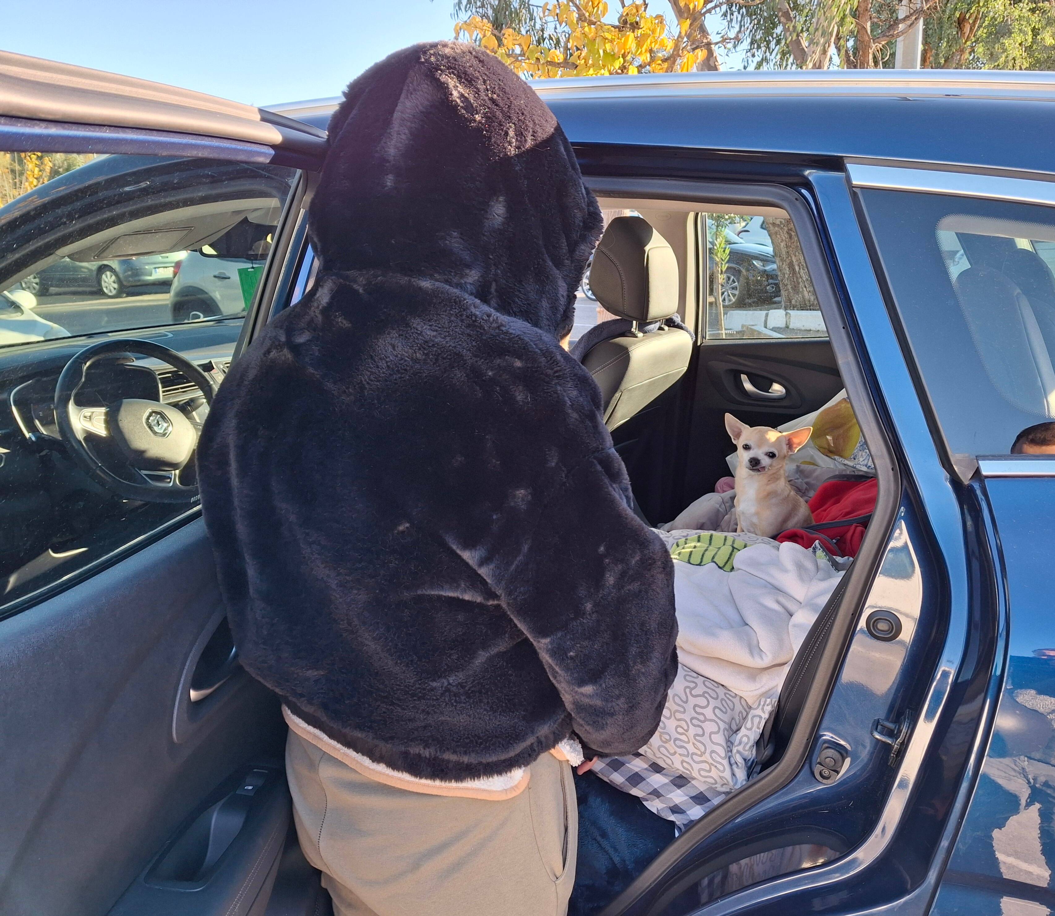 "J'ai l'impression que je vais mourir dans ma voiture": handicapée, Isabelle vit dans son véhicule depuis bientôt un an à Mandelieu