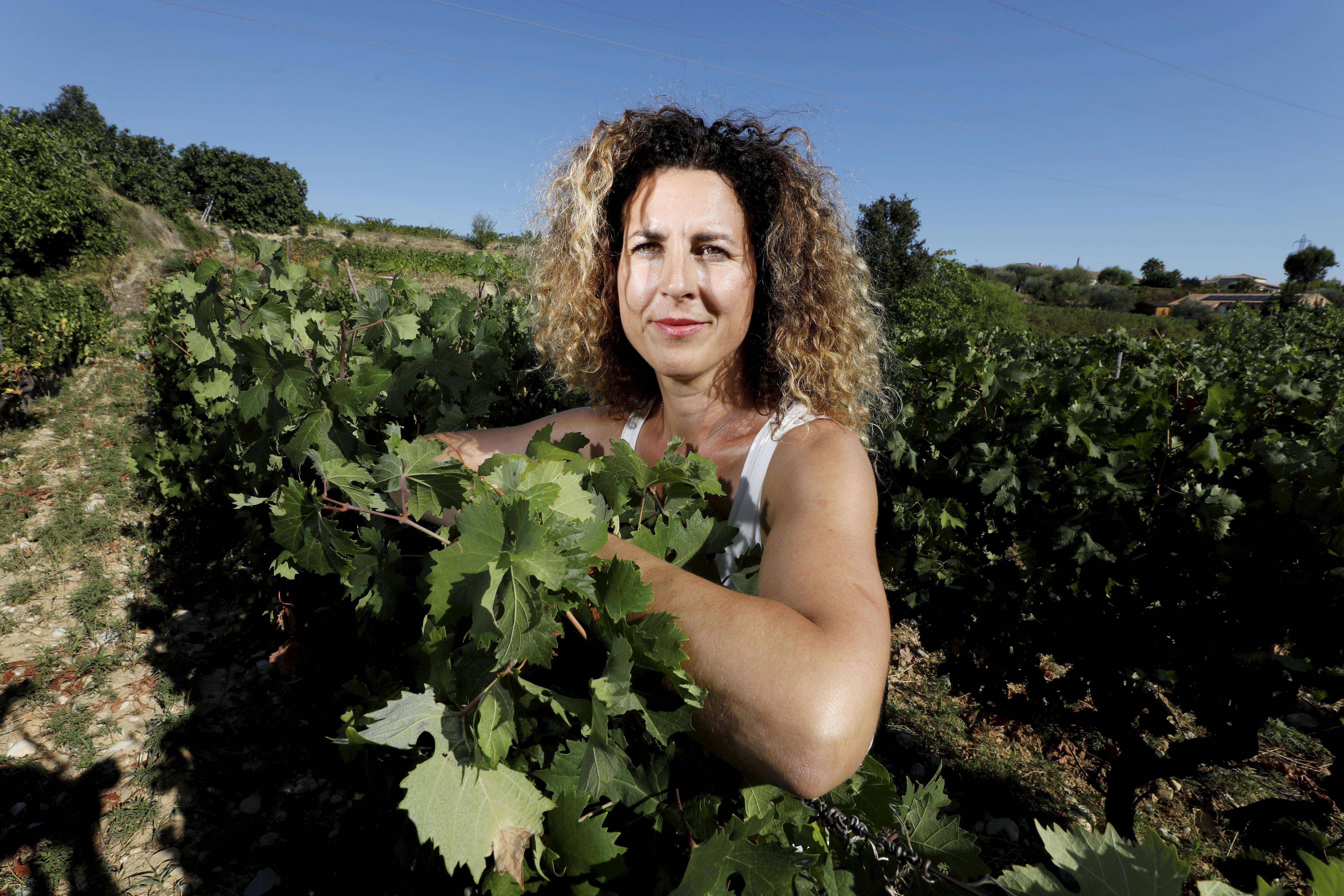 C'est portes ouvertes ce week-end à Bellet: l'occasion pour les vignerons niçois de parler de leur métier et de leurs difficultés