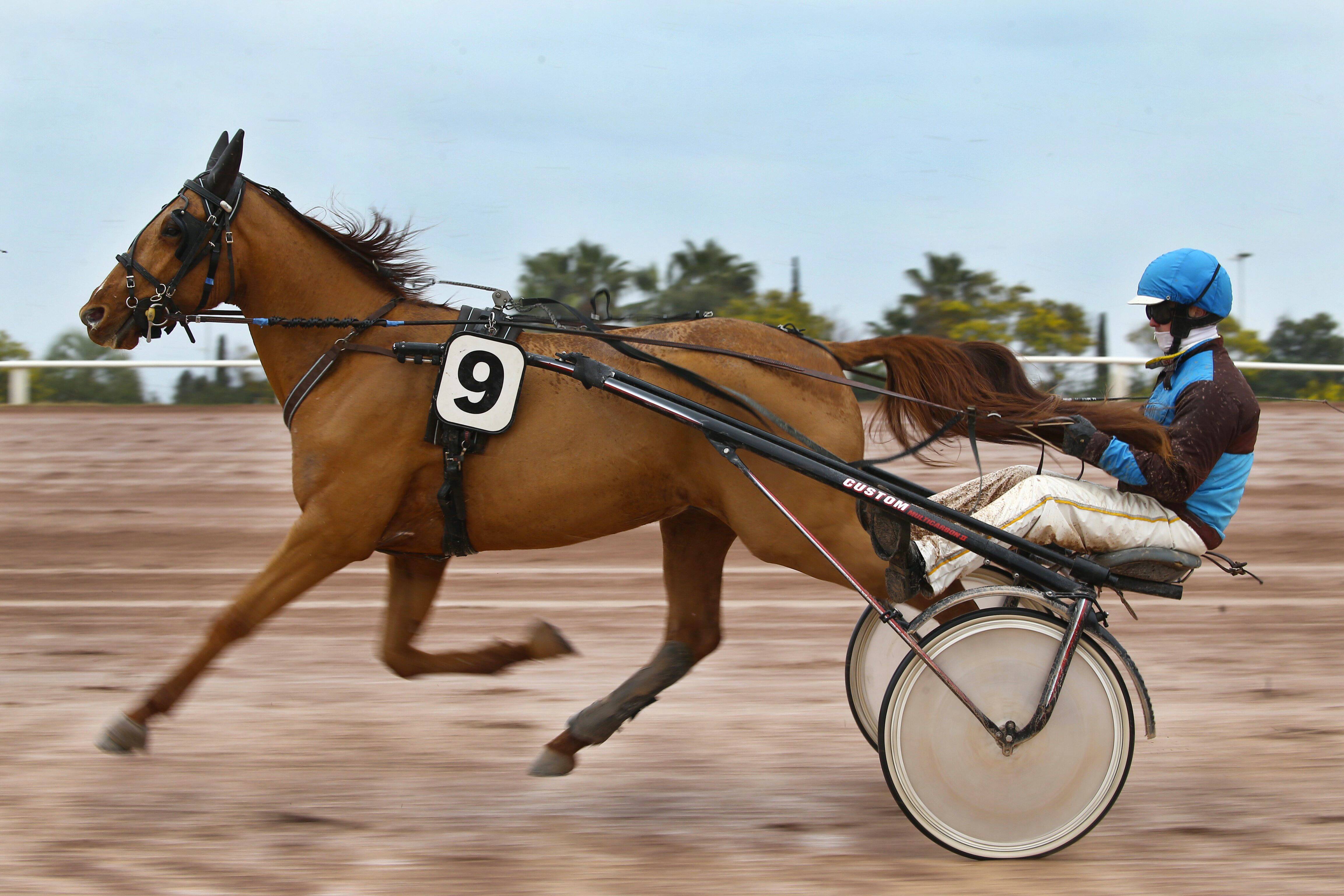 Journée de Noël, animations pour les familles... Quels seront les temps forts du Meeting d'hiver, à l'Hippodrome de Cagnes-sur-Mer?