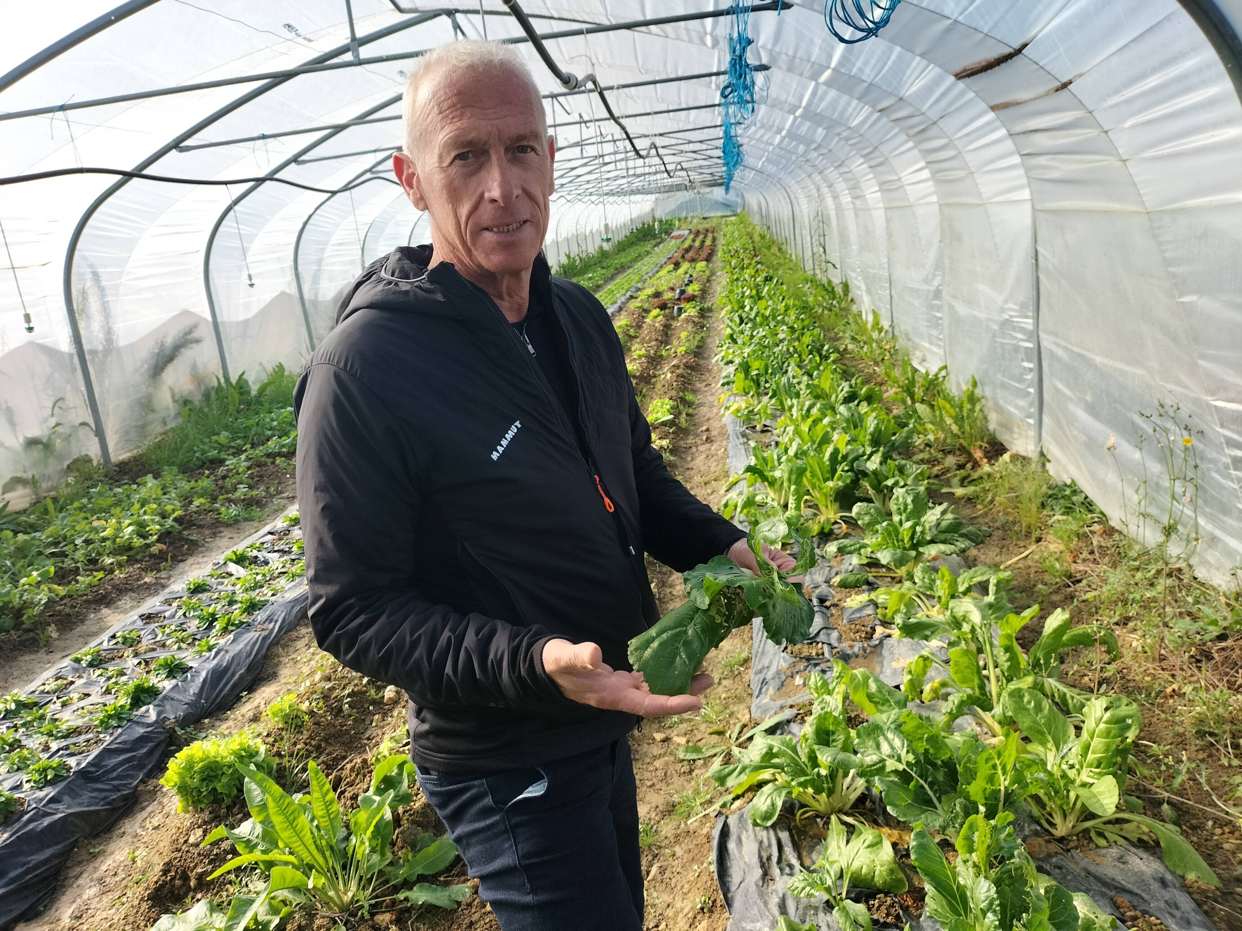 Plus de quatre tonnes de fruits et légumes biologiques ont été récoltés dans le champ communal pour être servis dans les cantines scolaires d'Opio