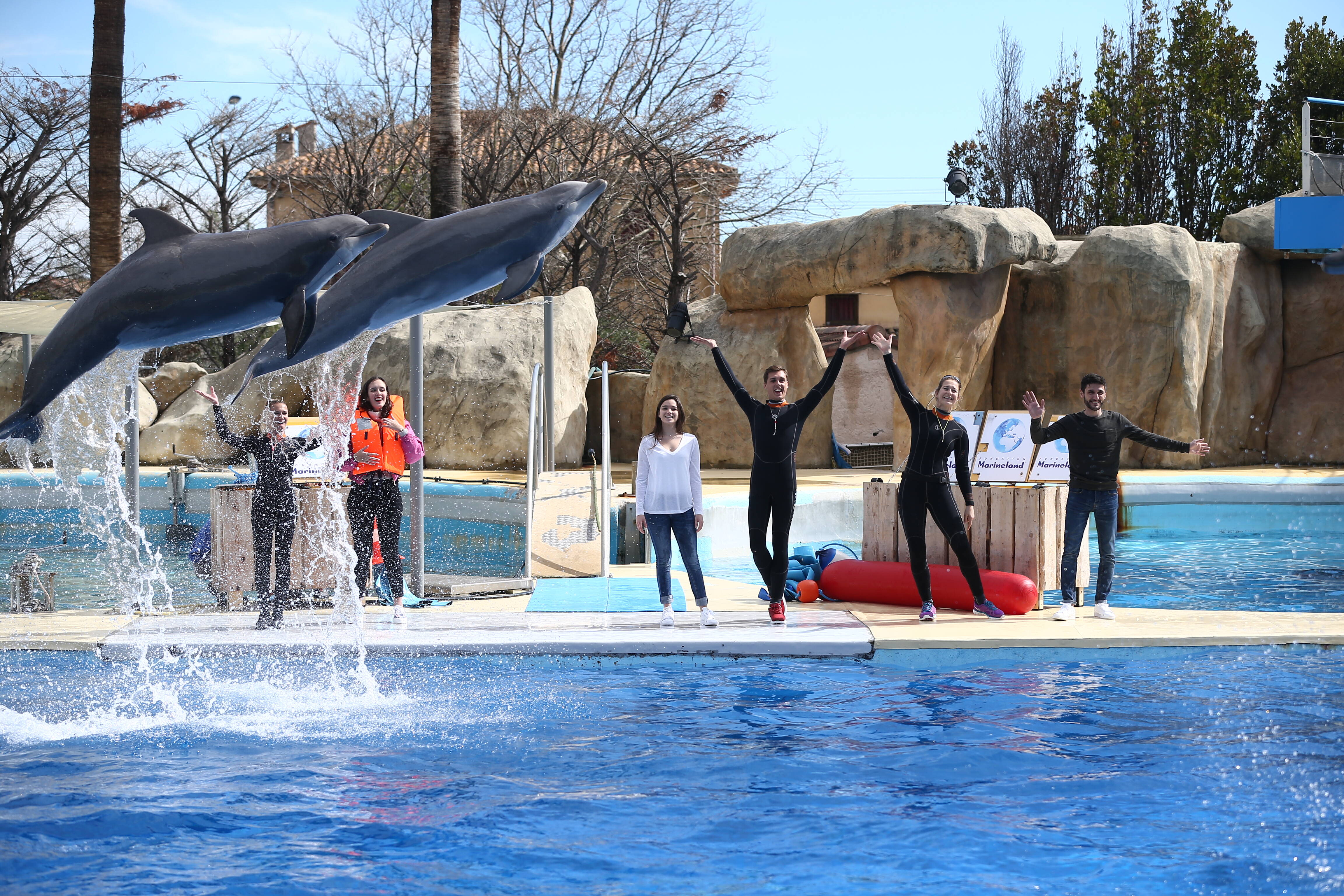 Fermeture définitive de Marineland à Antibes: une centaine de salariés et des prestataires sur la sellette
