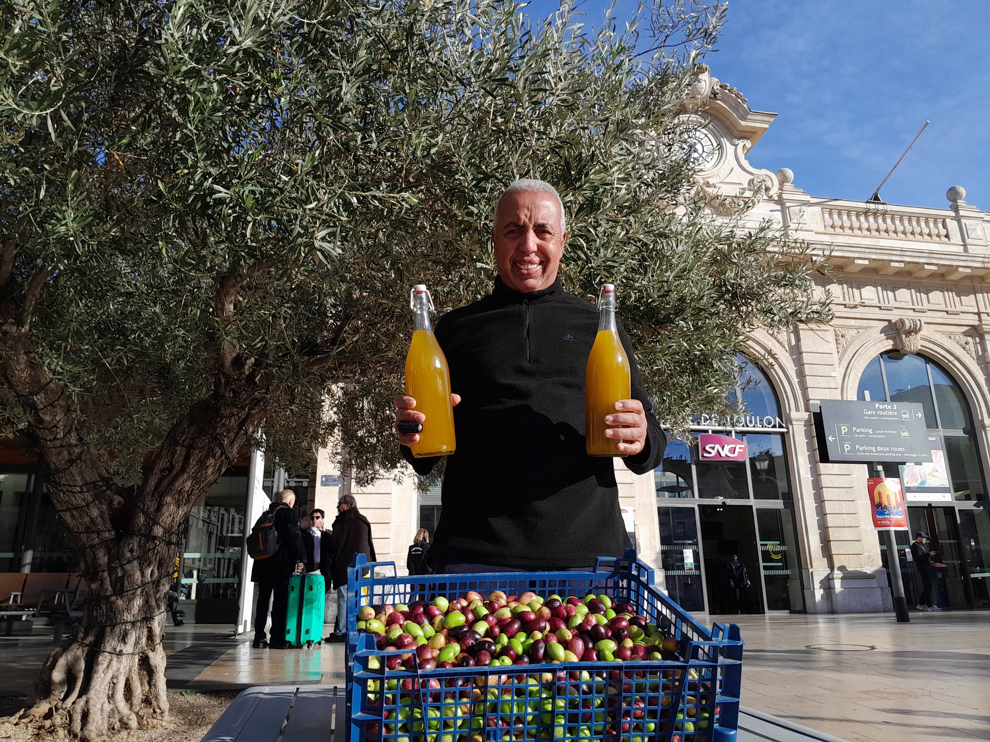 Il récolte des olives dans les lieux publics à Toulon pour une huile 100% urbaine