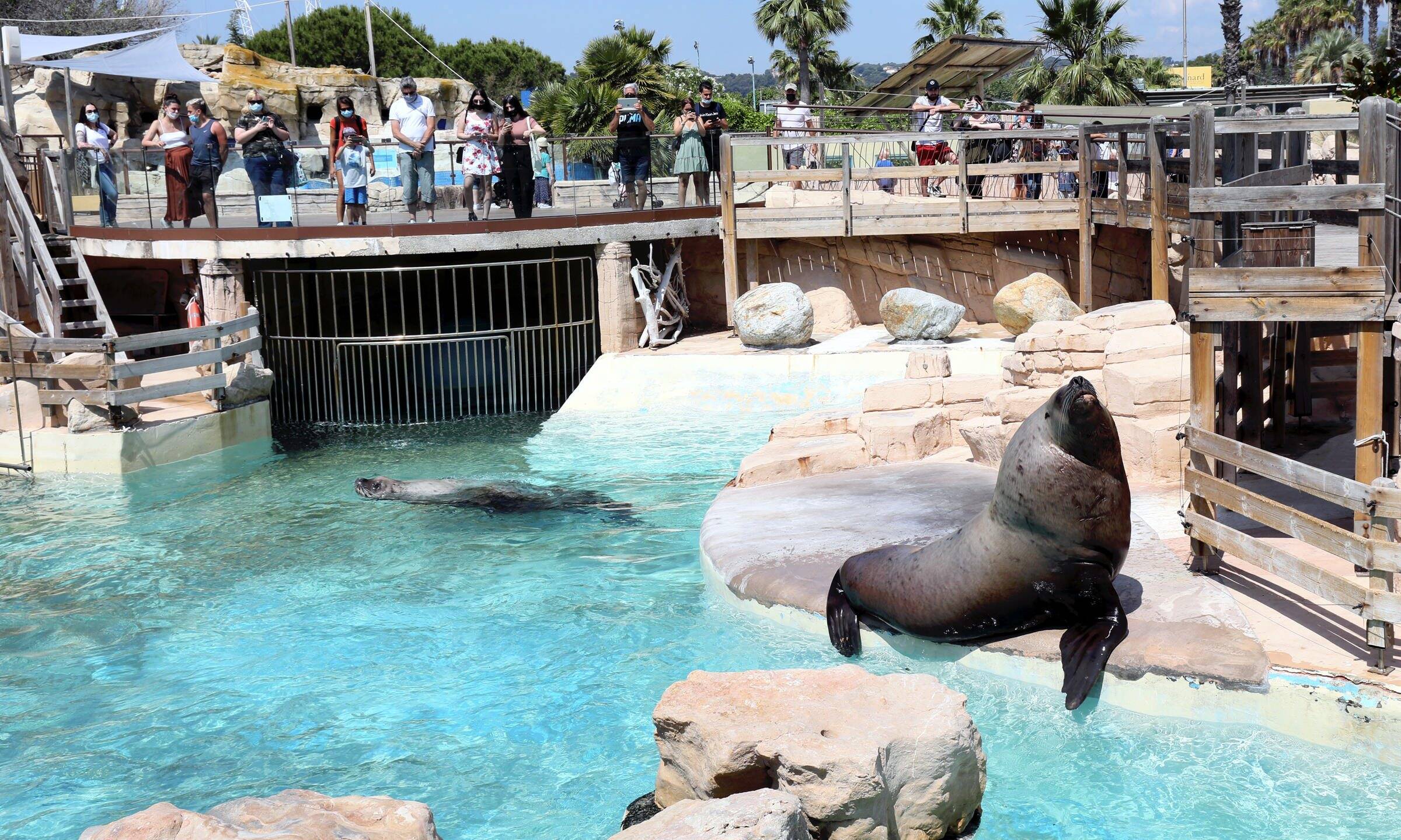 Un site de 26 hectares exceptionnel sur la Côte d'Azur, que pourrait devenir le site sur lequel est implanté Marineland?