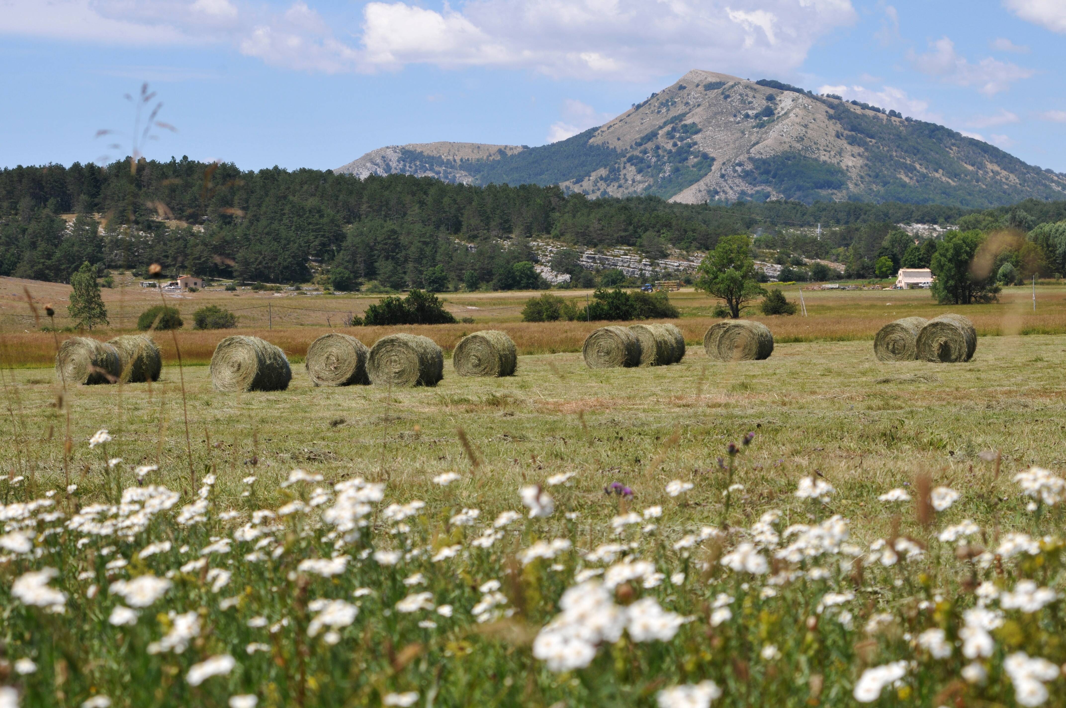 Le parc naturel régional des Préalpes d'Azur fête ses 12 ans... et a besoin de vous