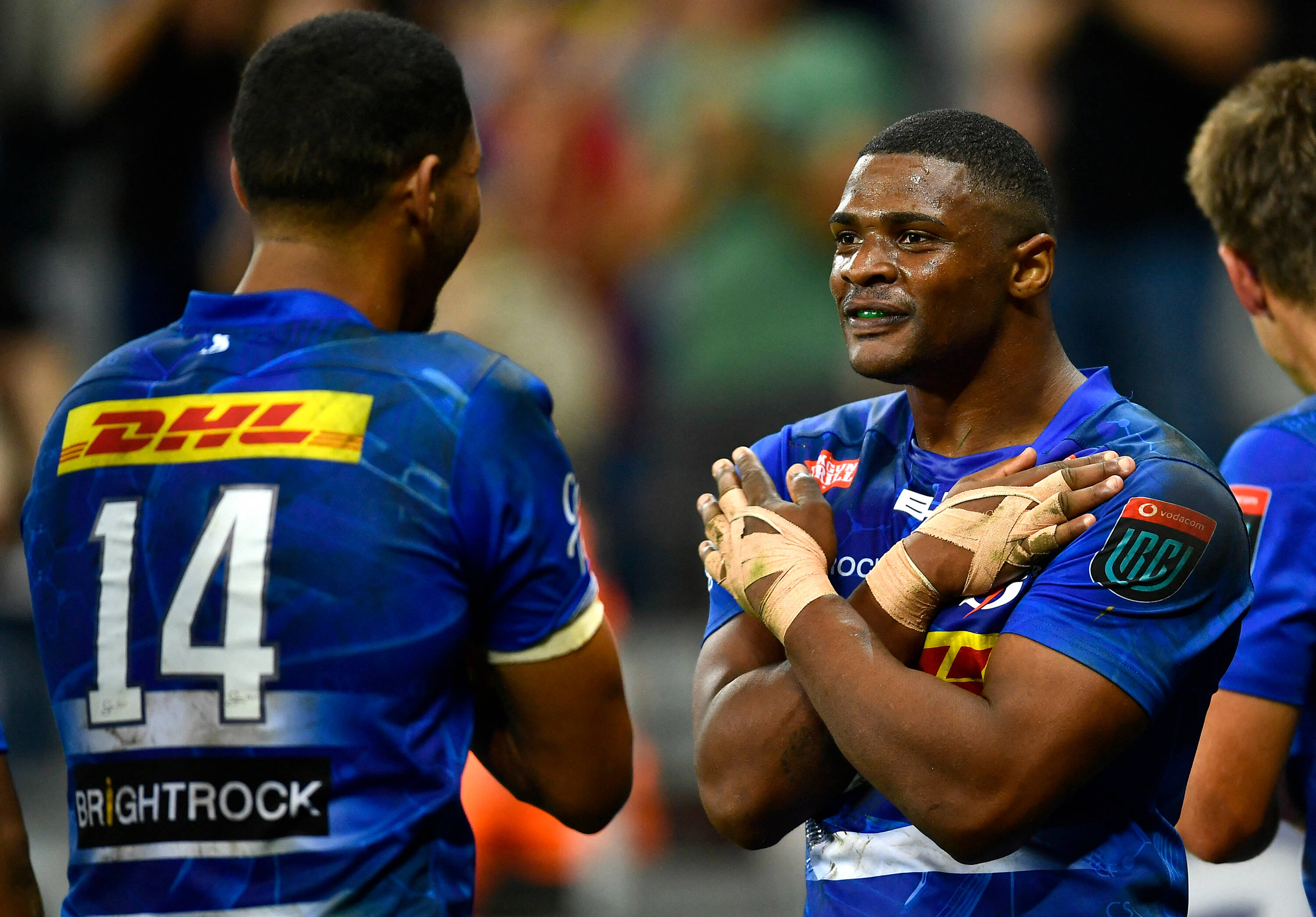 Adversaires sud-africains du RCT lors de la première journée de Champions Cup, mais qui sont les Stormers?