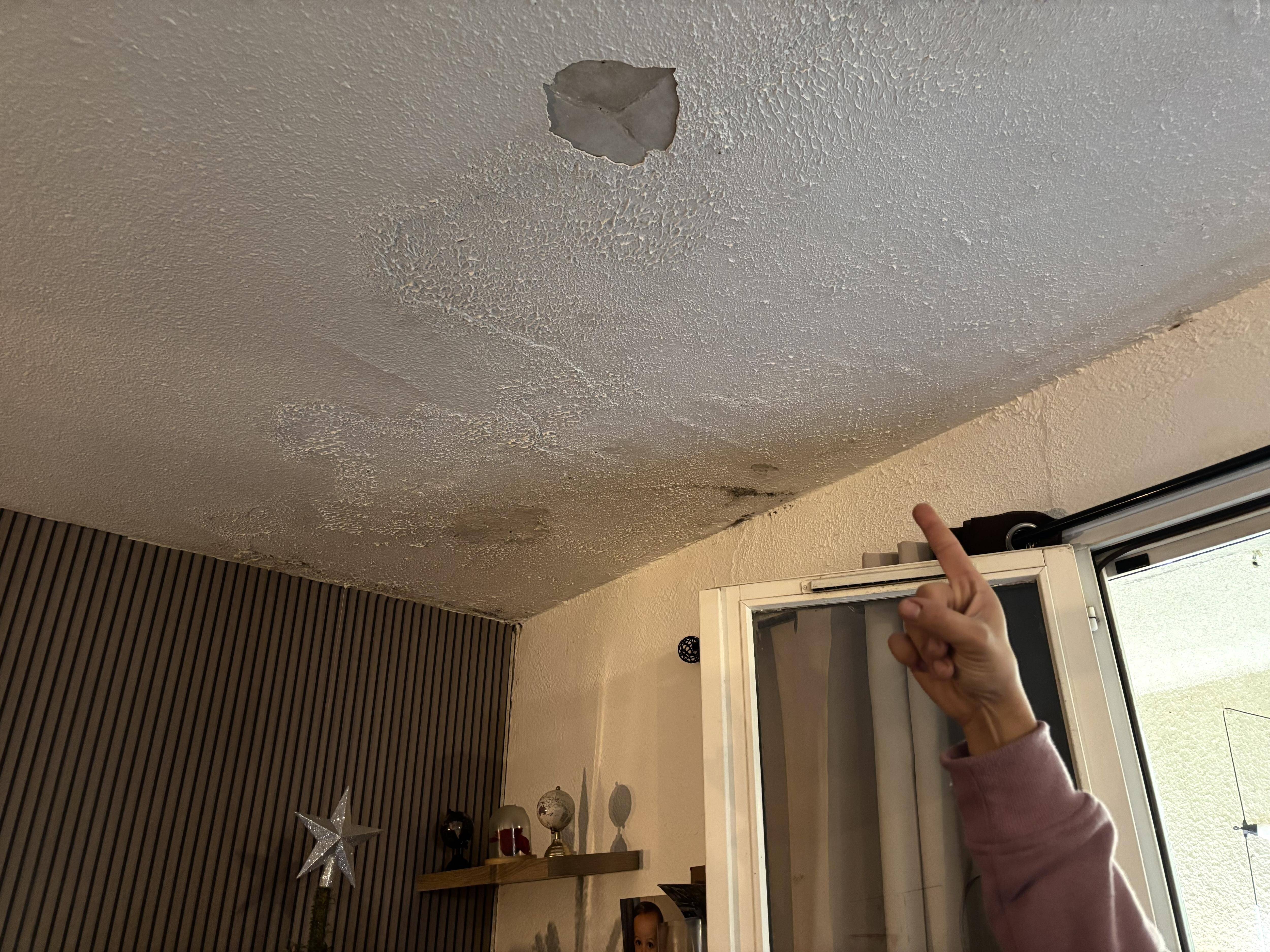 "Il en va de la santé de mes enfants": la détresse de Sarah, une mère de famille qui vit dans un logement social moisi par l'humidité à Saint-Agnès