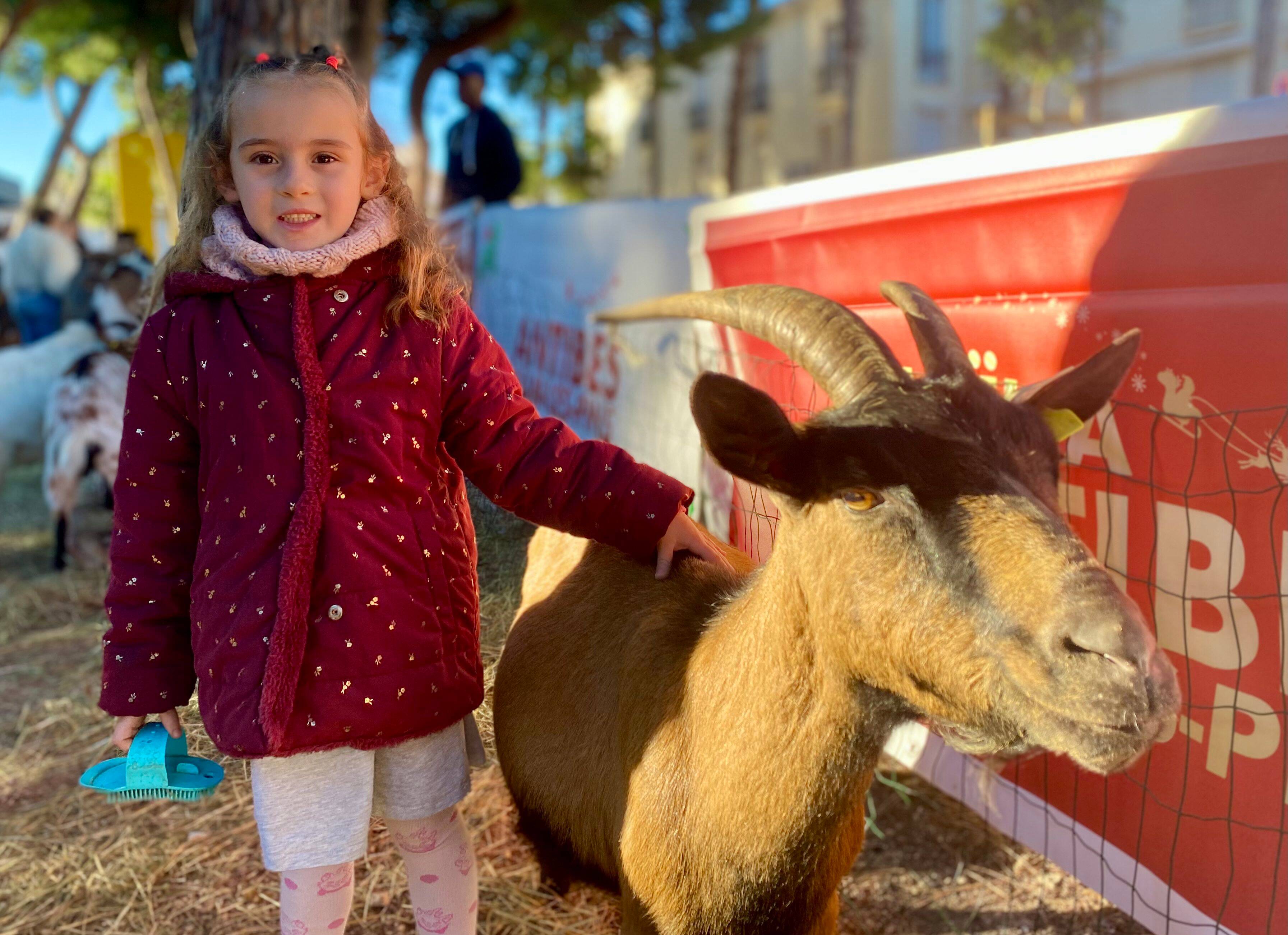 "On en voit de moins en moins": à Juan-les-Pins, les enfants à la rencontre des animaux de la ferme
