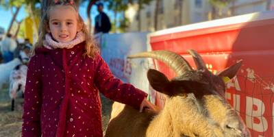 "On en voit de moins en moins": à Juan-les-Pins, les enfants à la rencontre des animaux de la ferme