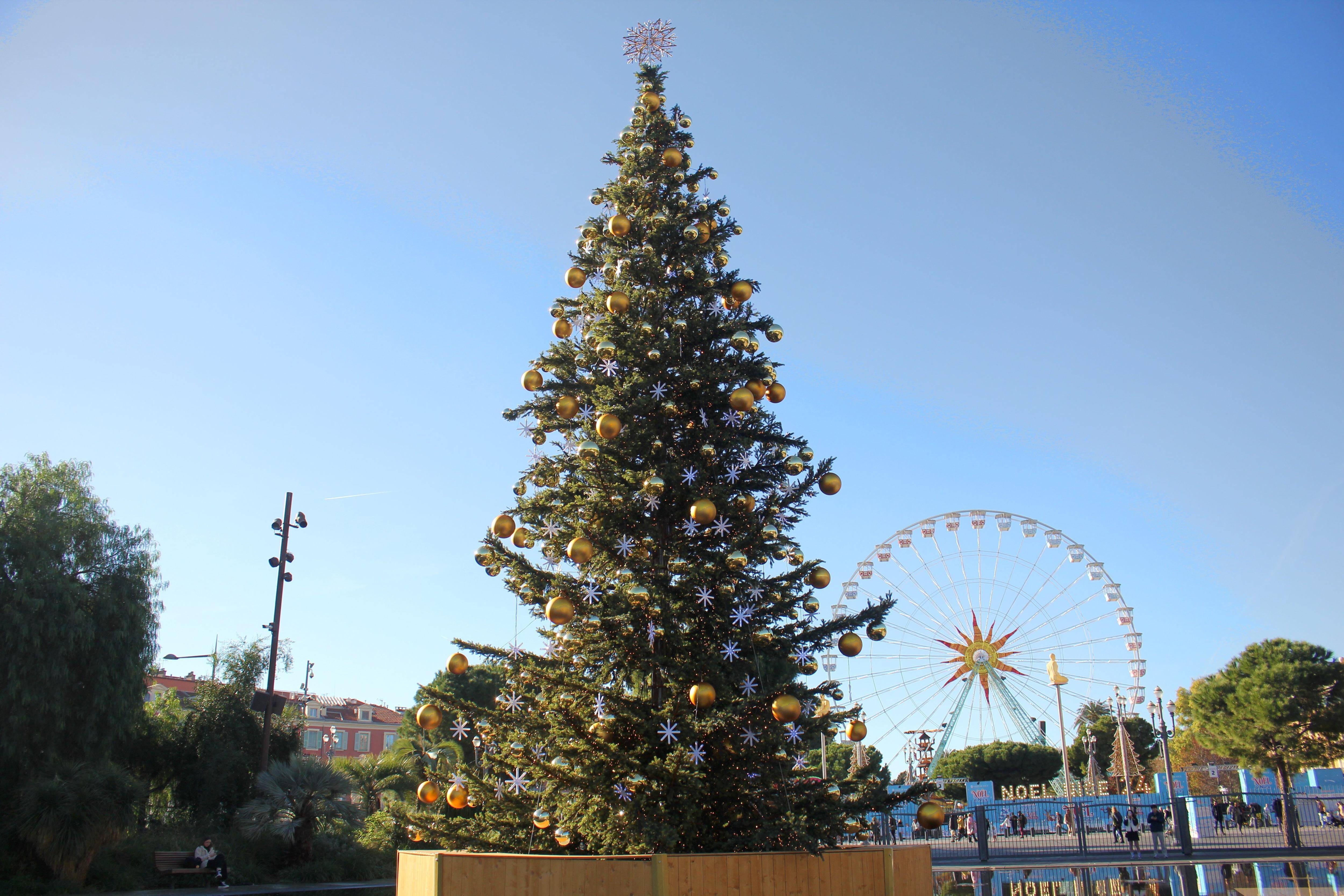 Quel est votre plus beau sapin de la région niçoise? Partagez vos avis