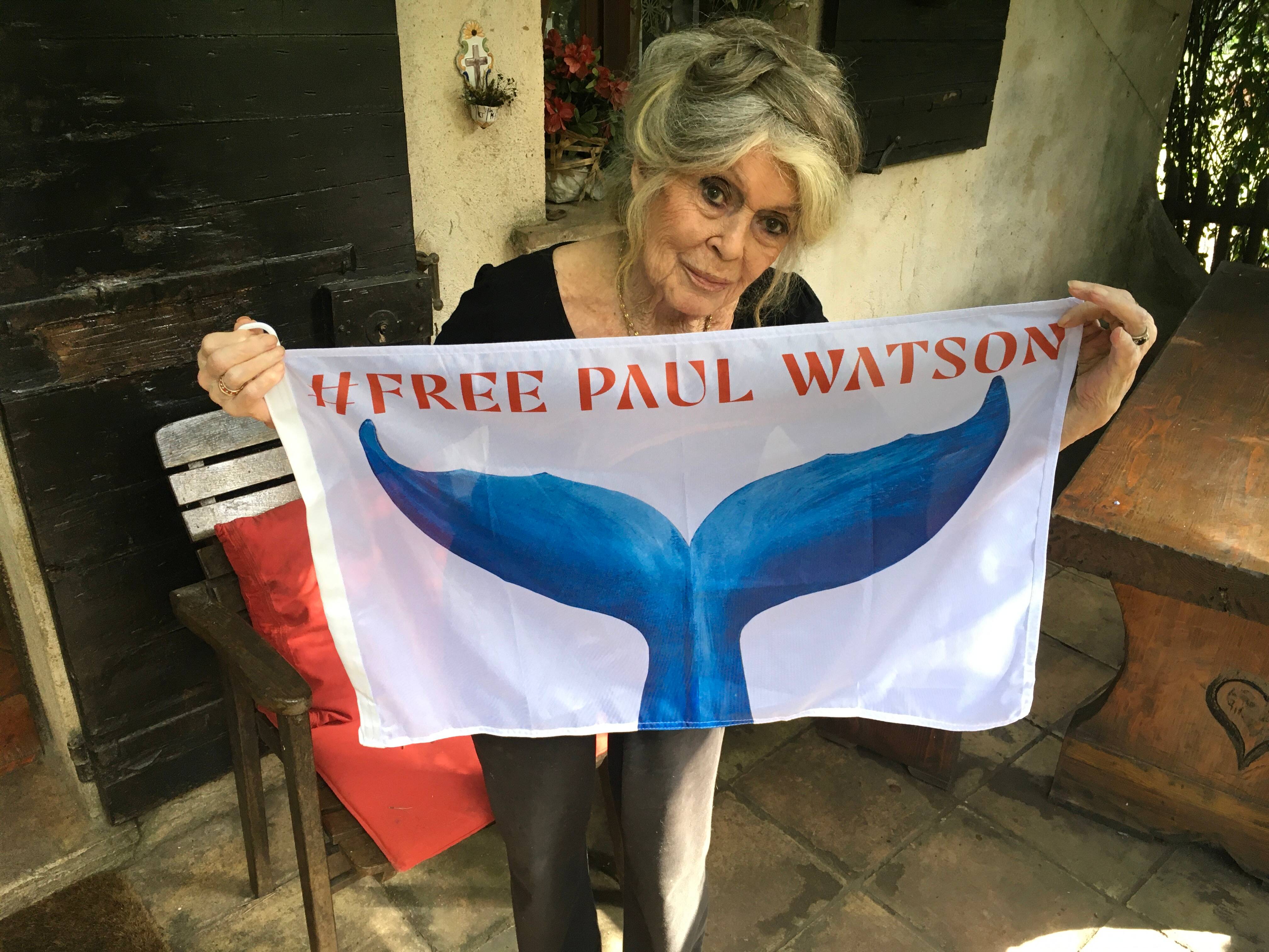 "C'est le miracle de Noël!": Brigitte Bardot réagit à la libération de Paul Watson