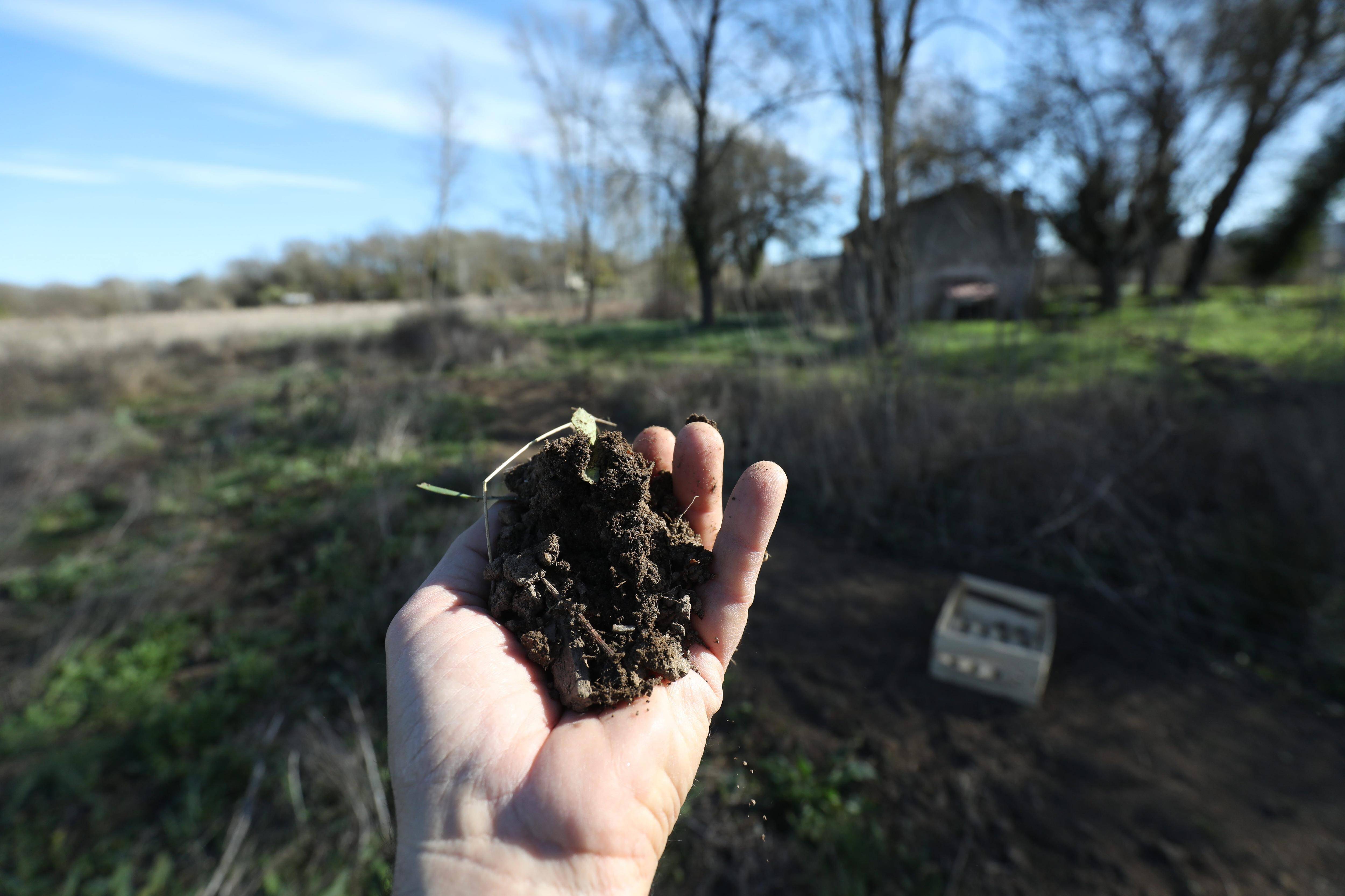 Surfaces agricoles: avec 637 hectares remis en culture dans le Var, la reconquête est en marche