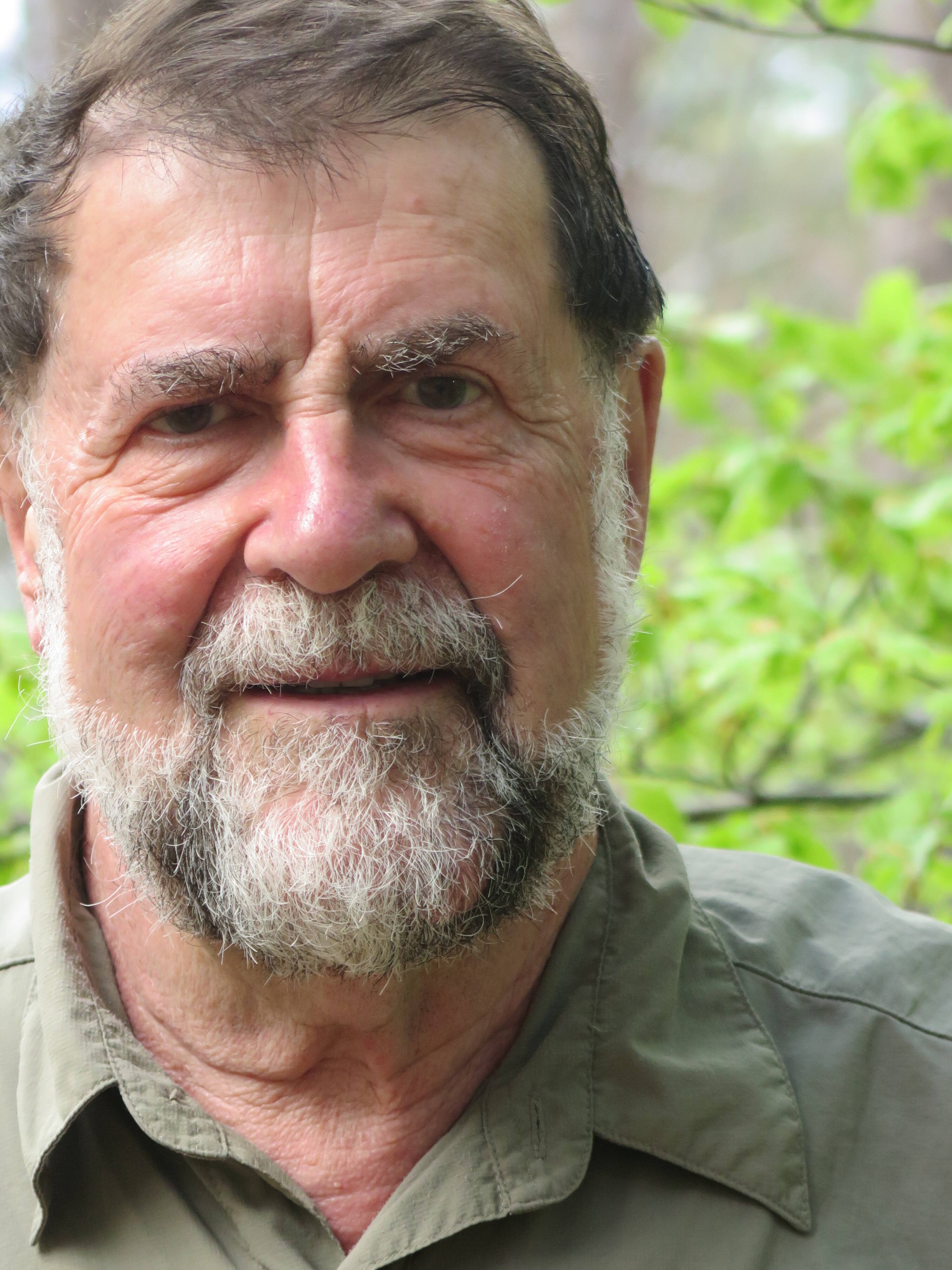 Pourquoi trouve-t-on de moins en moins d'oursins sur la Côte d'Azur ?