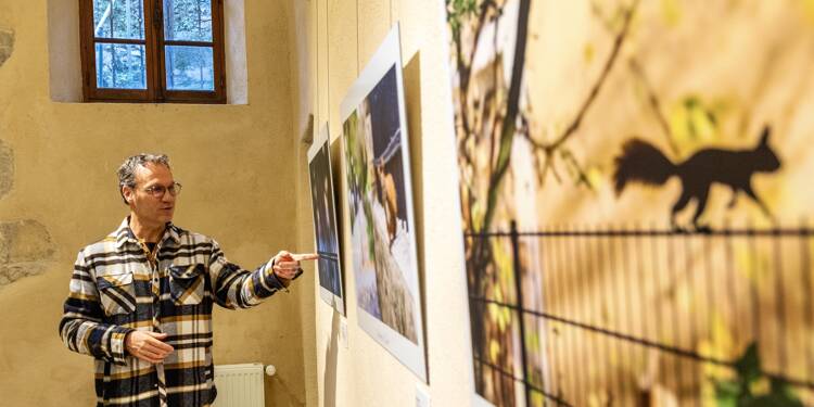 Il vient de remporter le 1er prix du public au festival Fotovar, le photographe animalier Nicolas De Vaulx expose à Draguignan