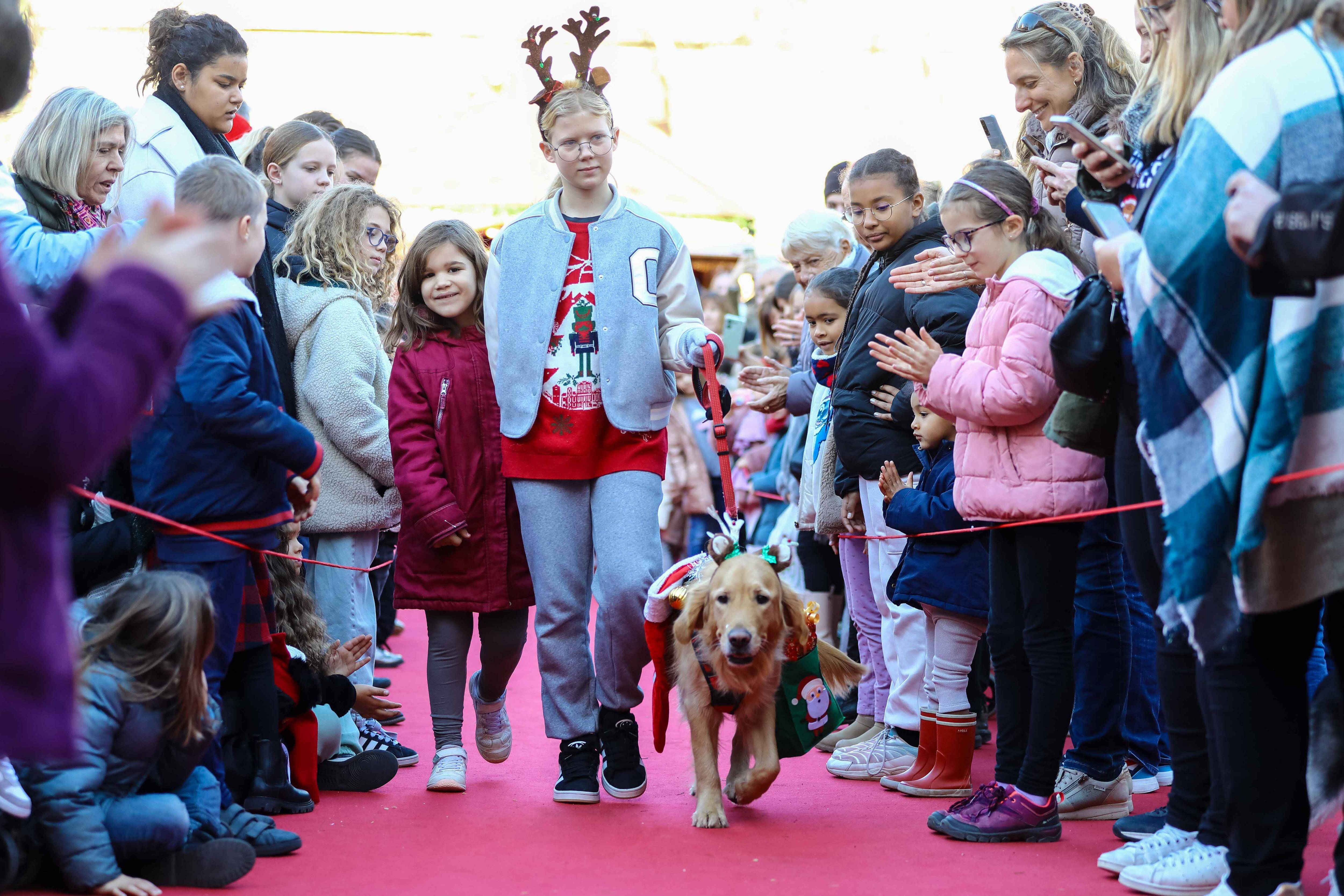 "C'est une belle façon de commencer les fêtes": à La Garde, un défilé de Noël au poil