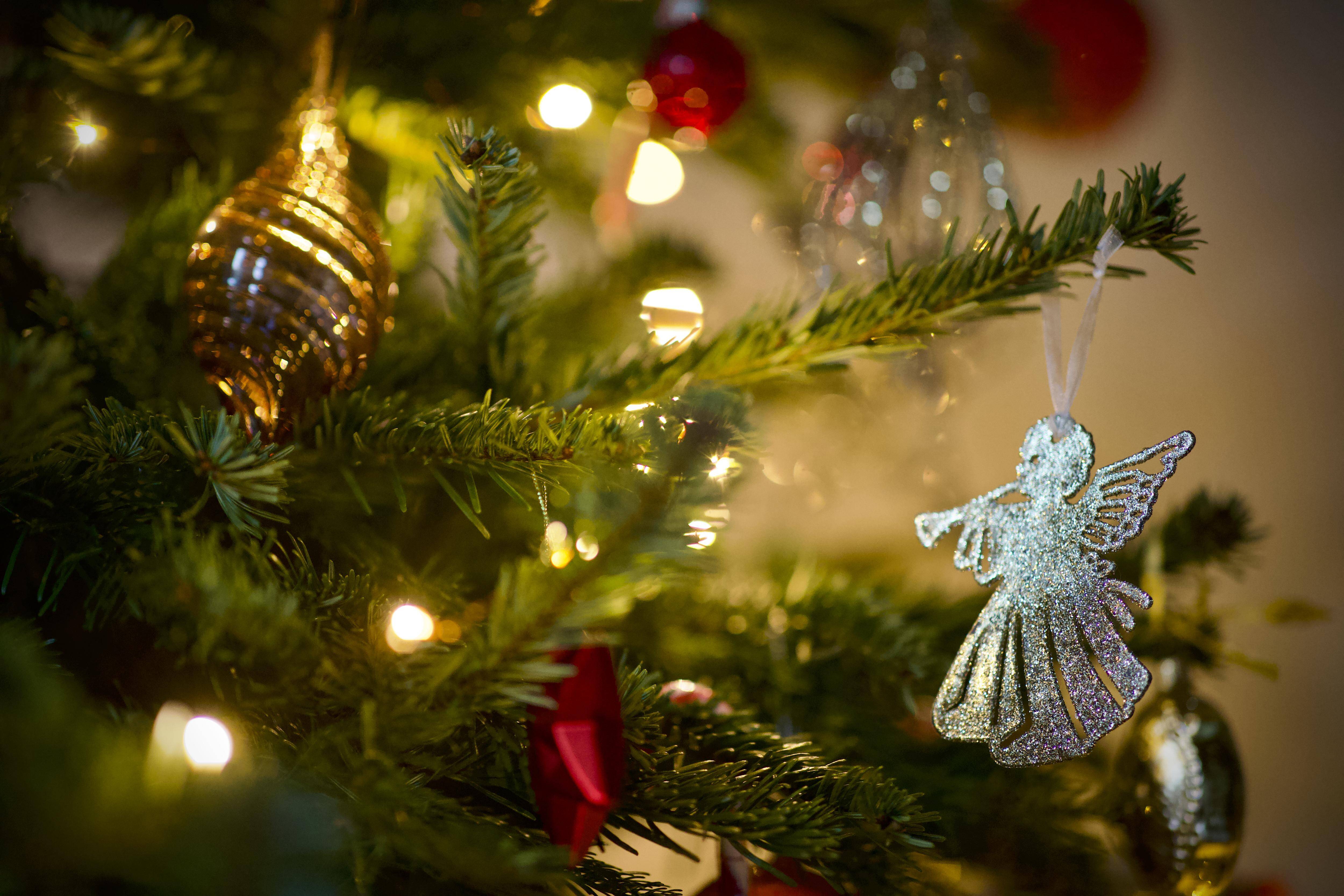 Voici où déposer votre sapin de Noël après les fêtes à Beausoleil